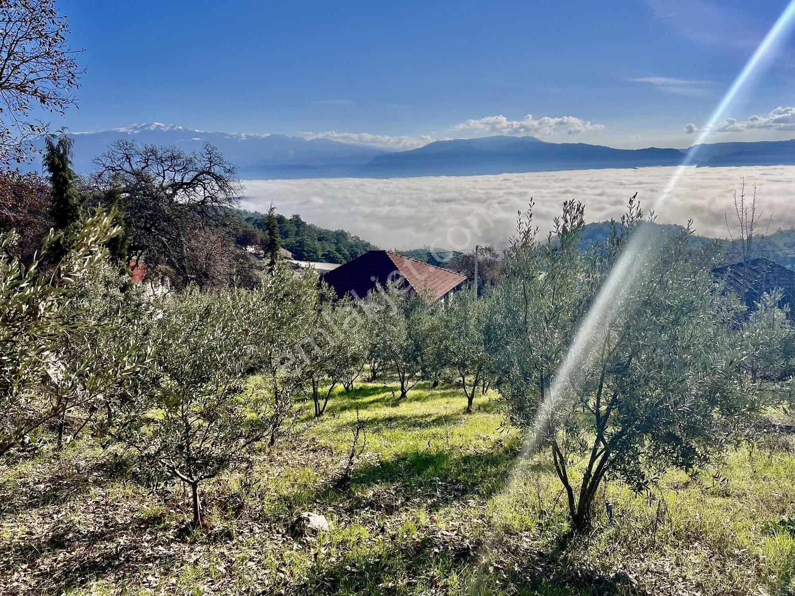 Kaş Çeşme Merkez De Mega'dan Ev Ve 1.250 M2 Bahçe - Görsel 25