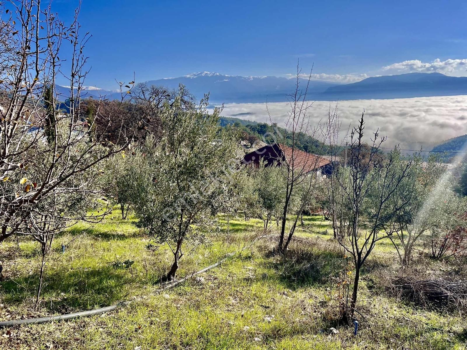 Kaş Çeşme Merkez De Mega'dan Ev Ve 1.250 M2 Bahçe - Görsel 26