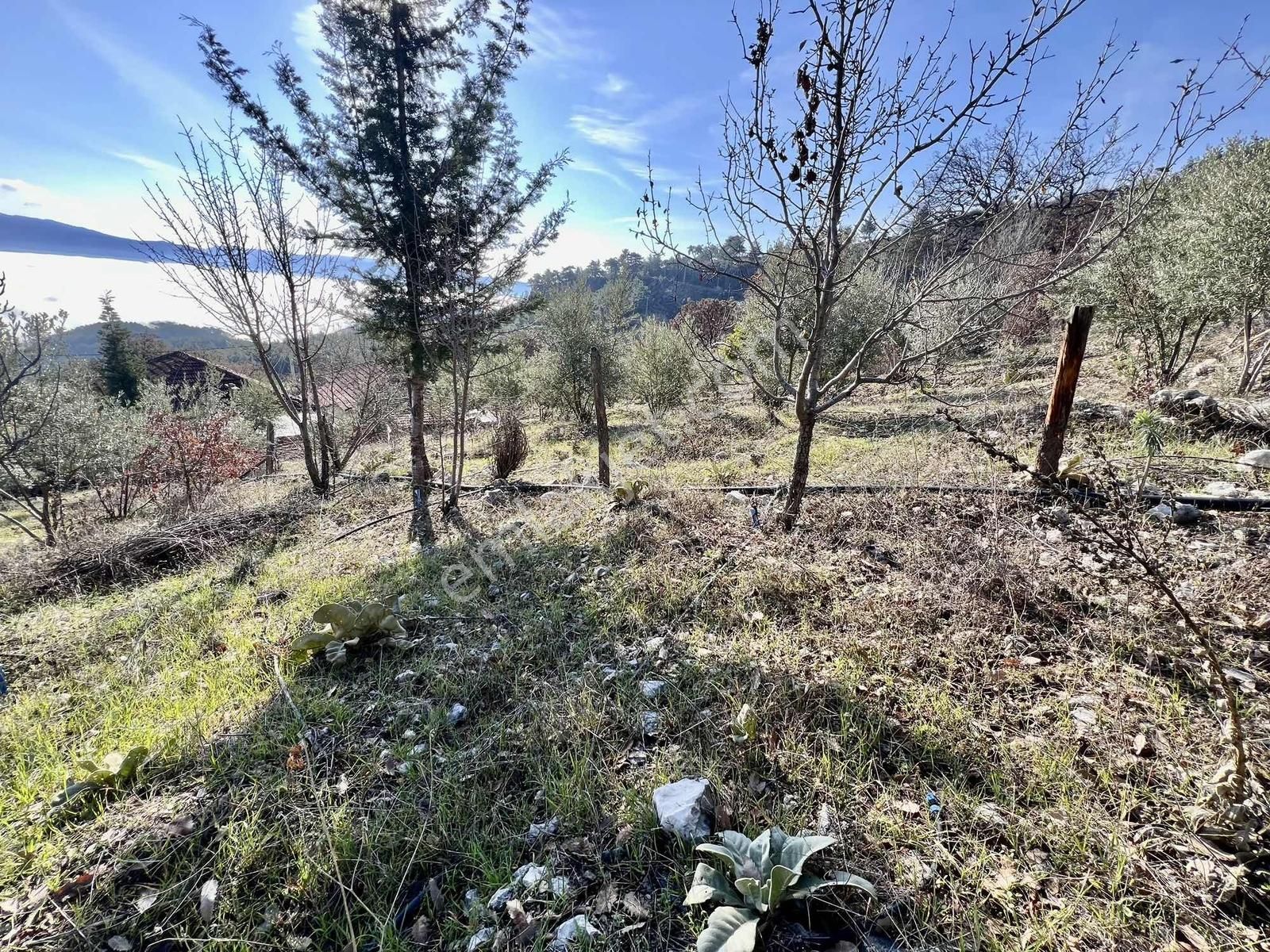 Kaş Çeşme Merkez De Mega'dan Ev Ve 1.250 M2 Bahçe - Görsel 30