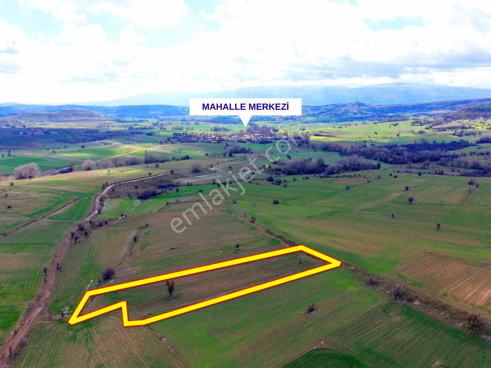 Kütahya Merkez'de 2.212 M2 Köye Yakın Resmi Yola 2 Parsel Dümdüz - Görsel 2