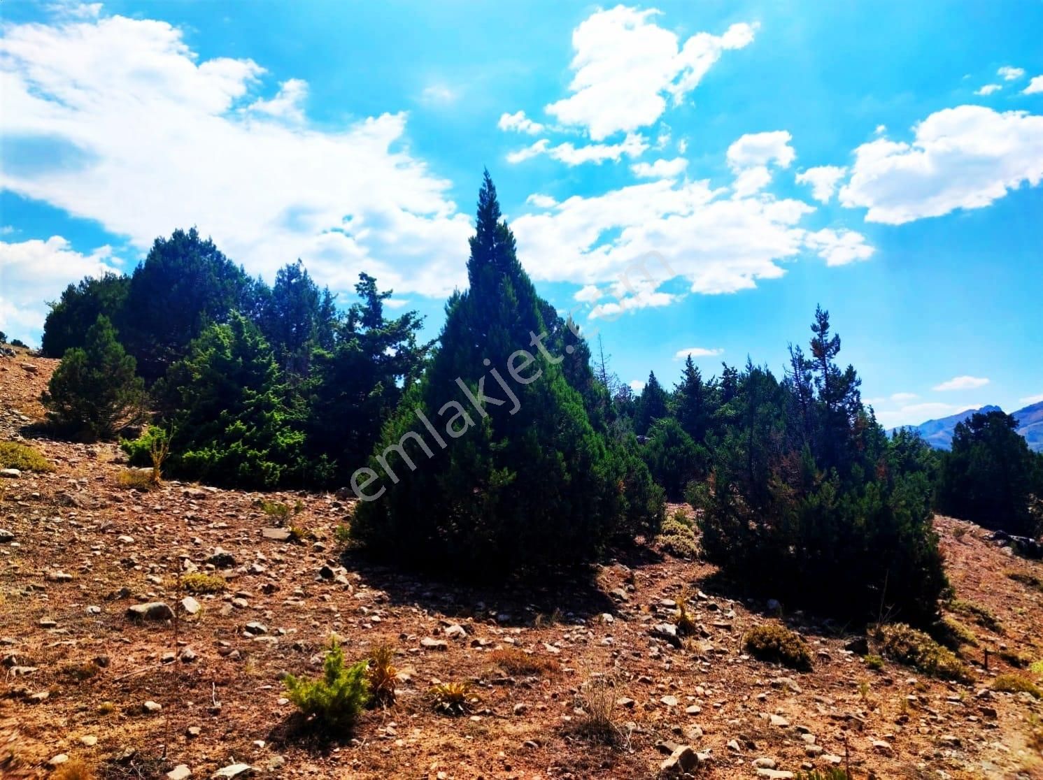 Kar Emlaktan Aşçıbekirli Fenese Mevkiinde 400 M2 Satılık Arsa - Görsel 35