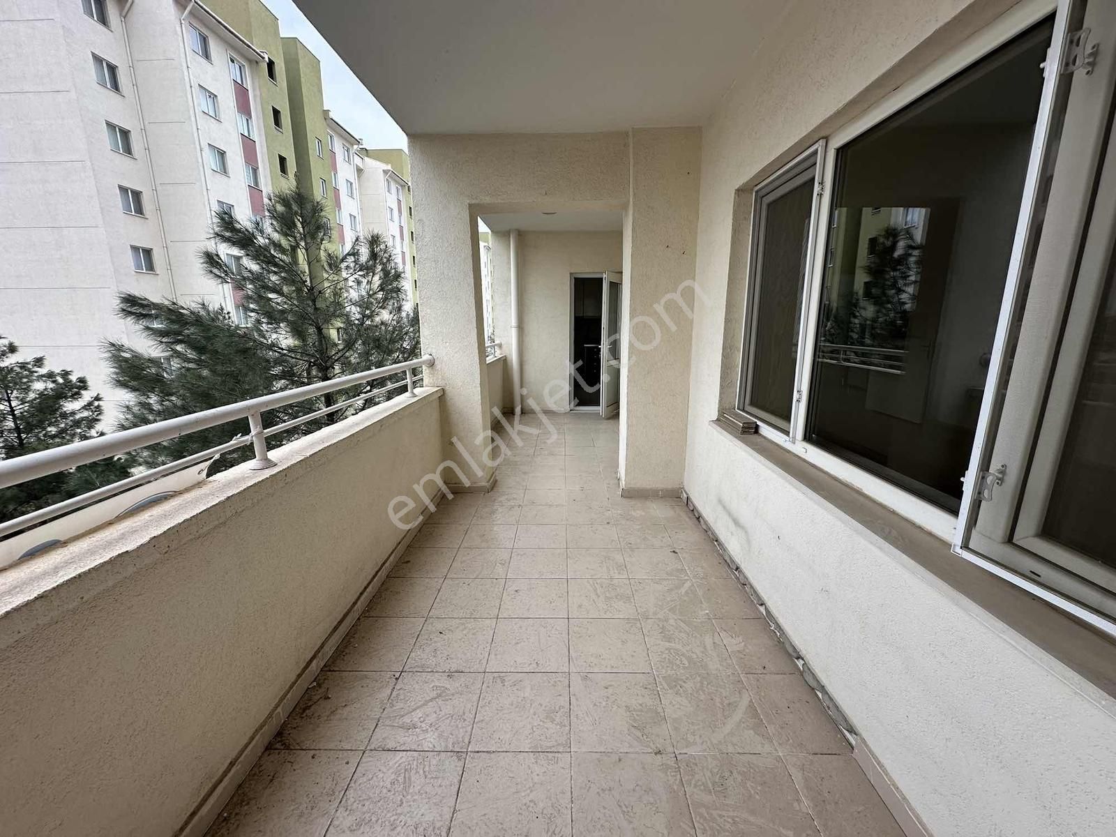Memur-sen Tokide Kiralık 3+1 Daire, Boyası Yapılmıştır - Görsel 14