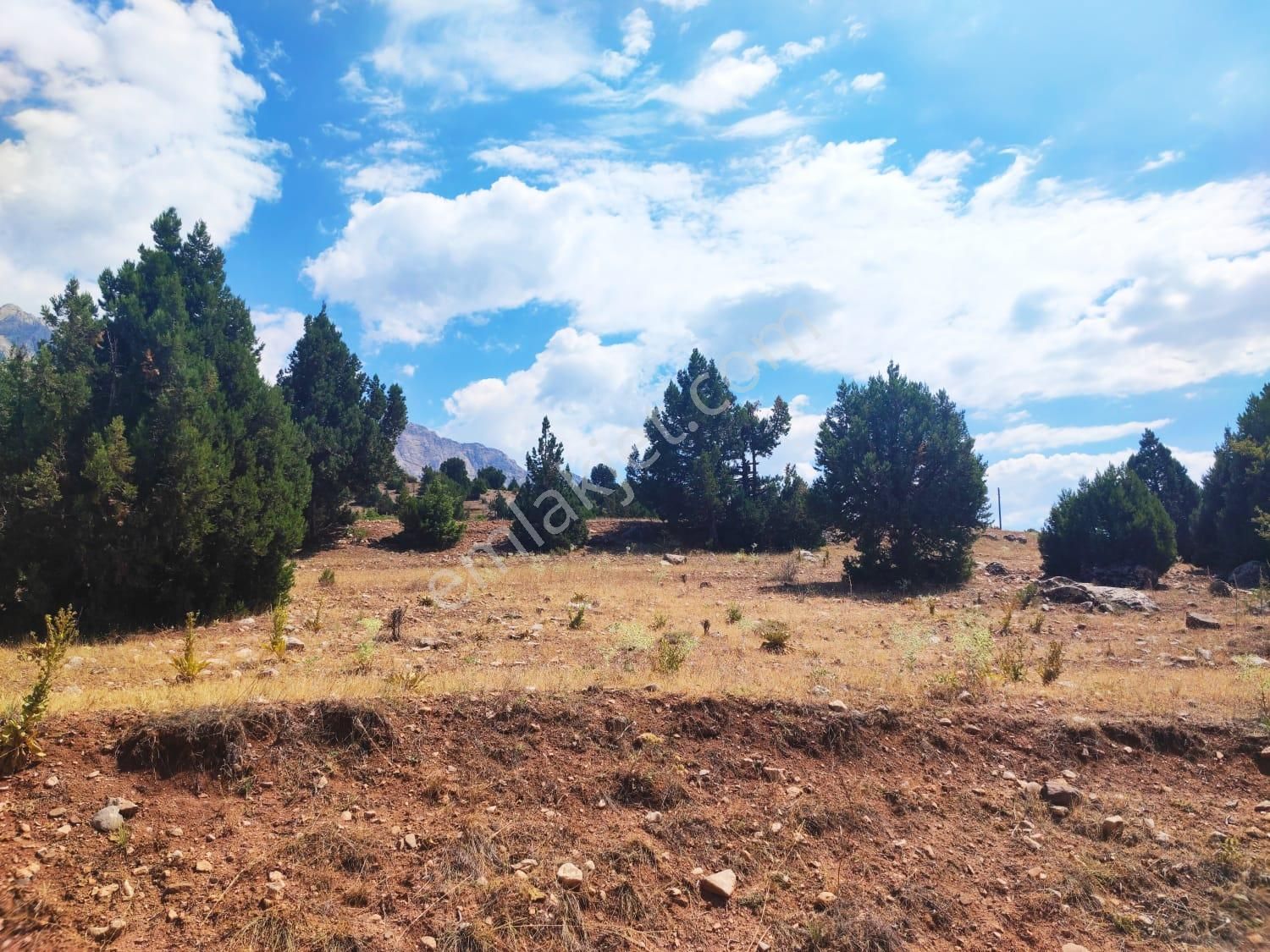 Kar Emlaktan Aşçıbekirli Fenese Mevkiinde 450 M2 Satılık Arsa - Görsel 2