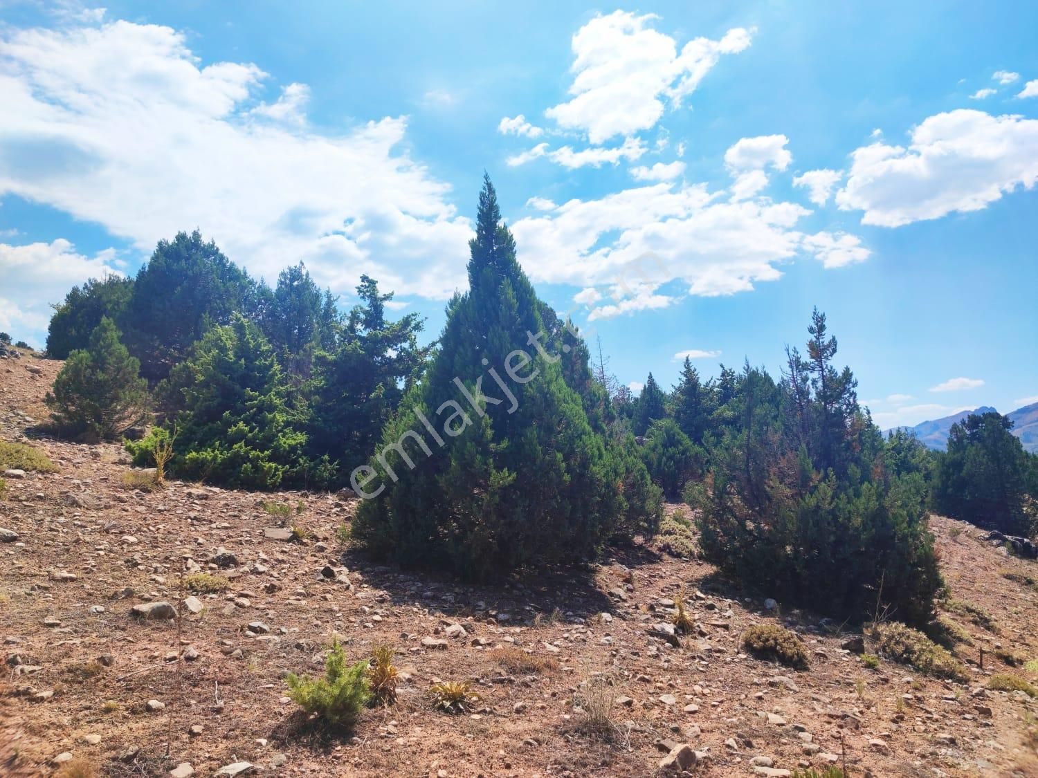 Kar Emlaktan Aşçıbekirli Fenese Mevkiinde 450 M2 Satılık Arsa - Görsel 22