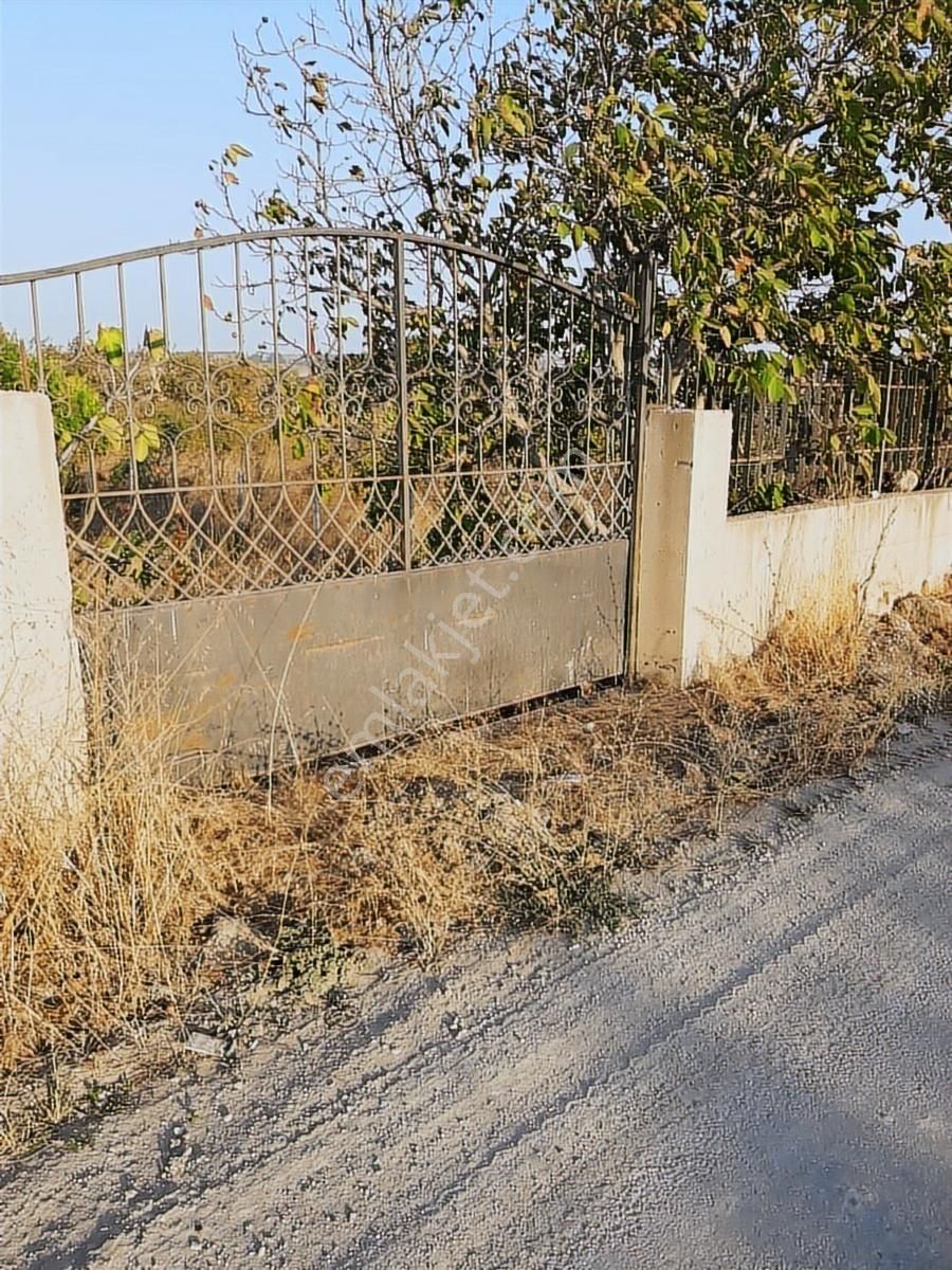 Bursa Karacabey Hürriyet'de İçinde Bağ Evi Olan Satılık Arsa - Görsel 4