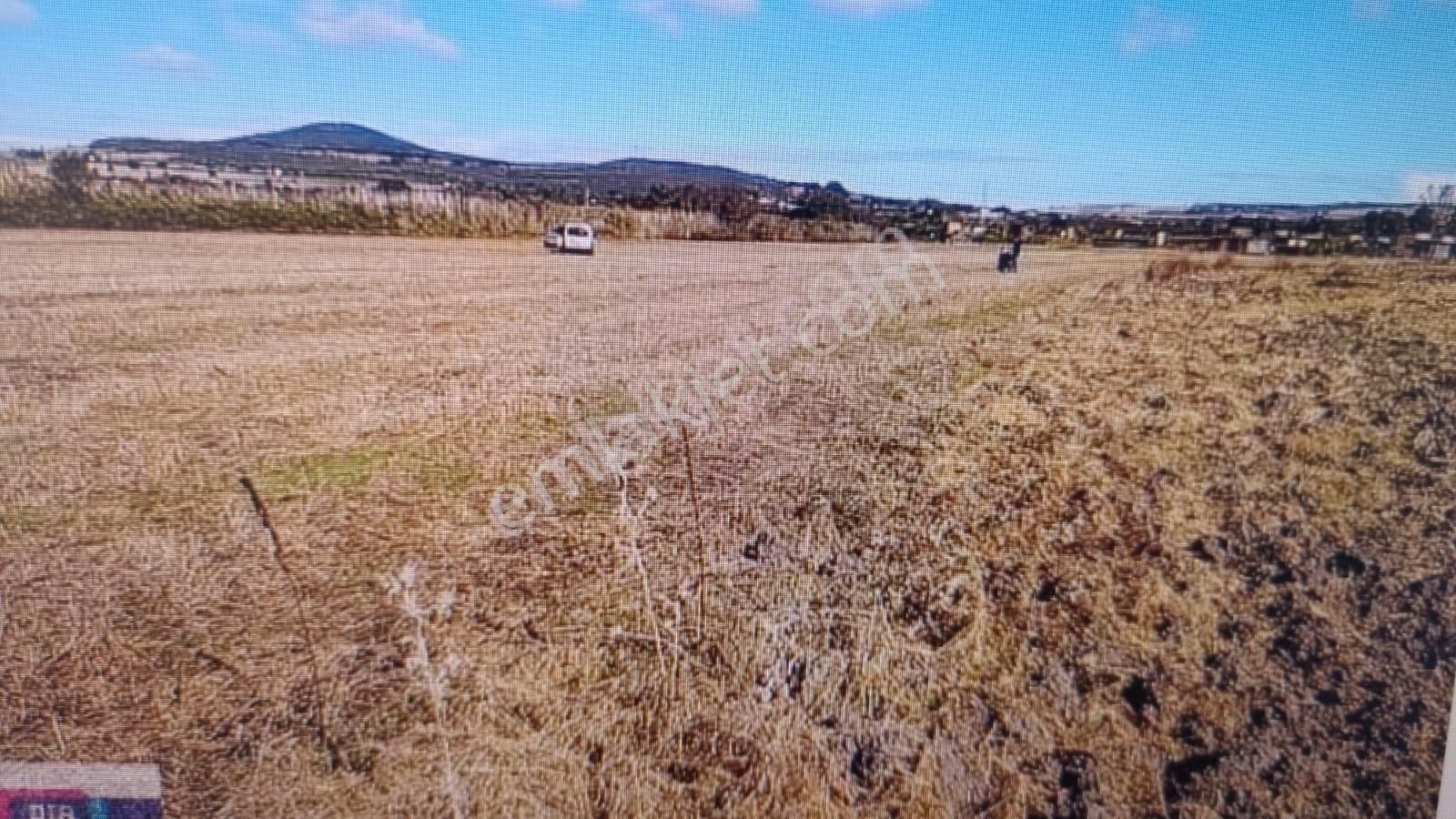 Çok Acil Nilüfer Çatalağıl'da Uluabat Gölüne Yakın Fırsat Arazi - Görsel 5