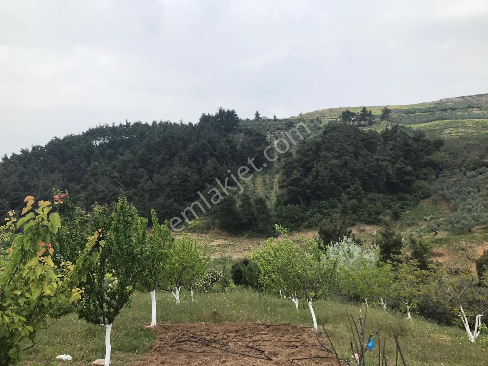 Bursa Osmangazi Gündoğdu Mah.'de Satılık Fırsat Tarla - Görsel 8