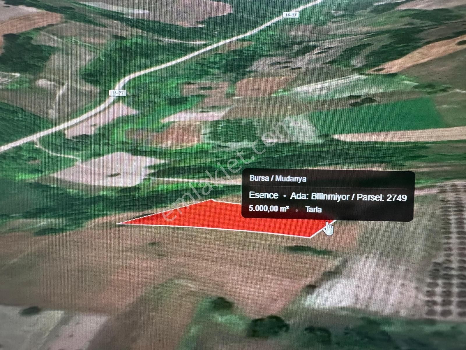 Mudanya Esence Kavakdere'de Acil Satılık Tarla - Görsel 11