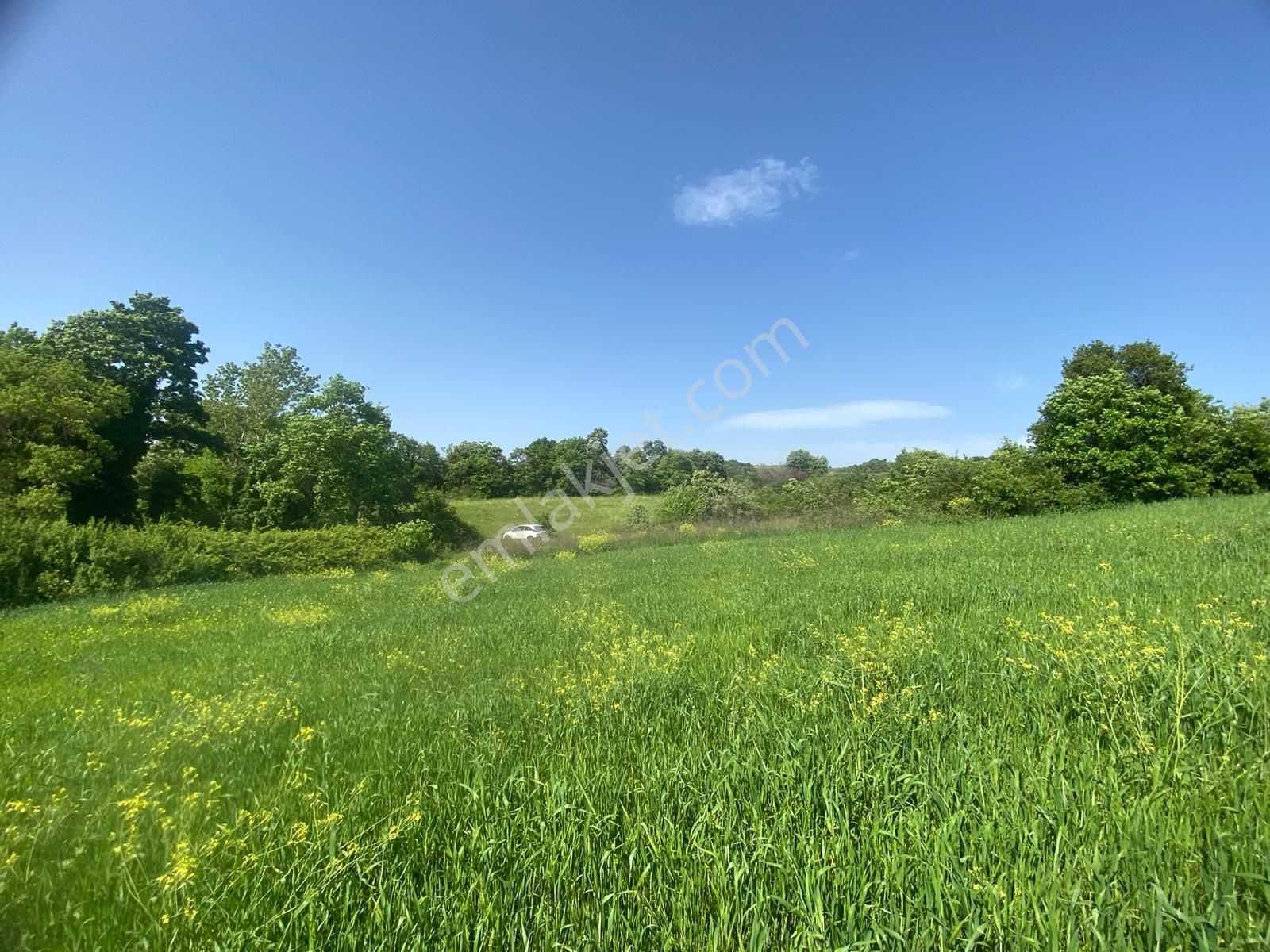 Mudanya Esence Kavakdere'de Acil Satılık Tarla - Görsel 5