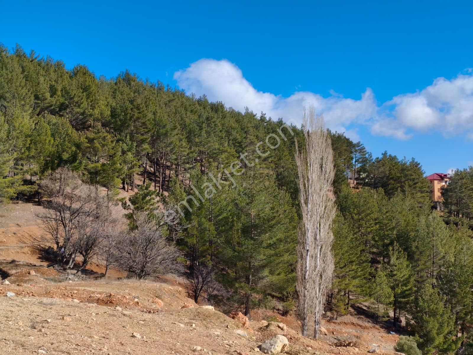 Kar Emlaktan Yenikonacık Körmenlik Mevkiinde 400 M2 Satılık Arsa - Görsel 4