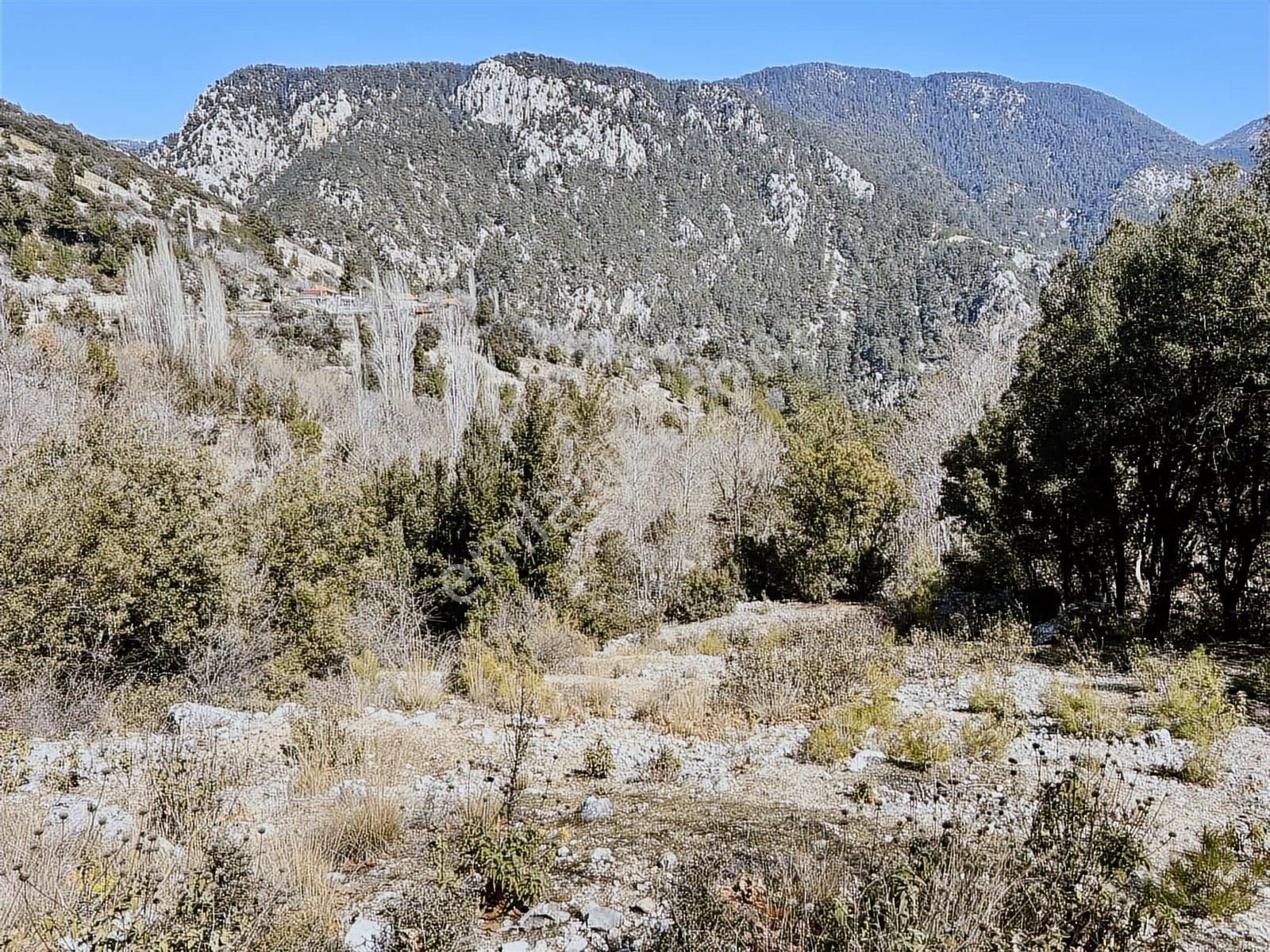 Kaş Ta Akarsuya Cepheli Sütleğen Beldibi Ev Ve 6.185 M2 Bahçe - Görsel 29