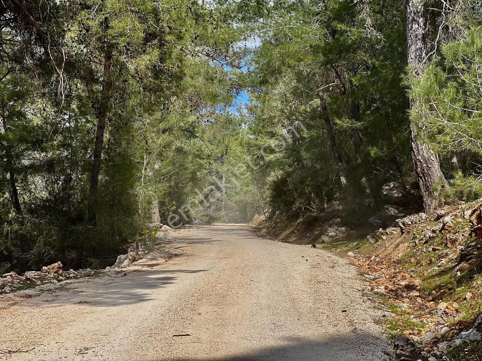 Kaş A En Yakın En Uygun Fiyatlı Gökçeyazı Da 330 M2 Parsel - Görsel 14