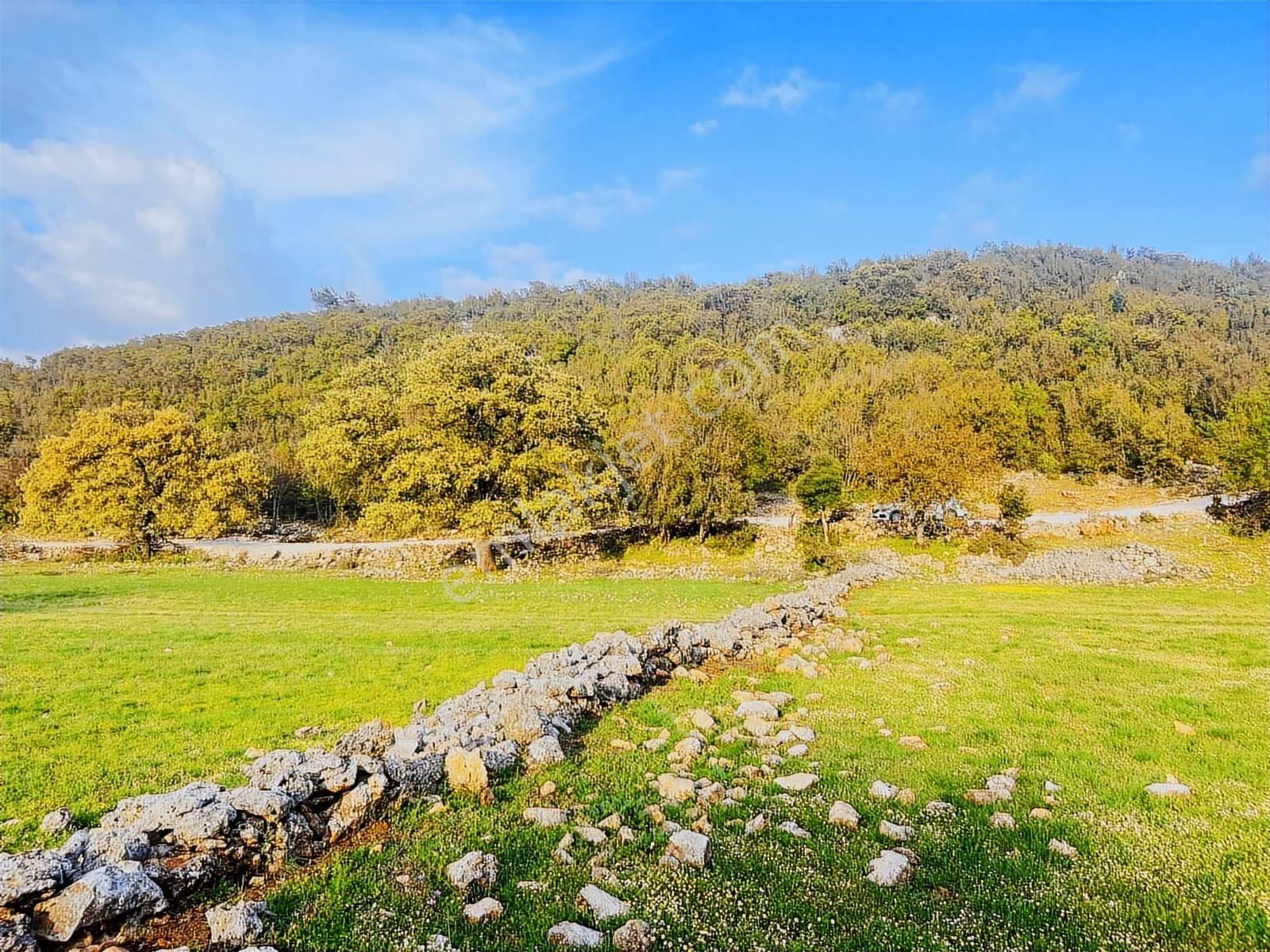 Kaş Çerler Mah. 5.100 M2 Müstakil Parsel - Görsel 6