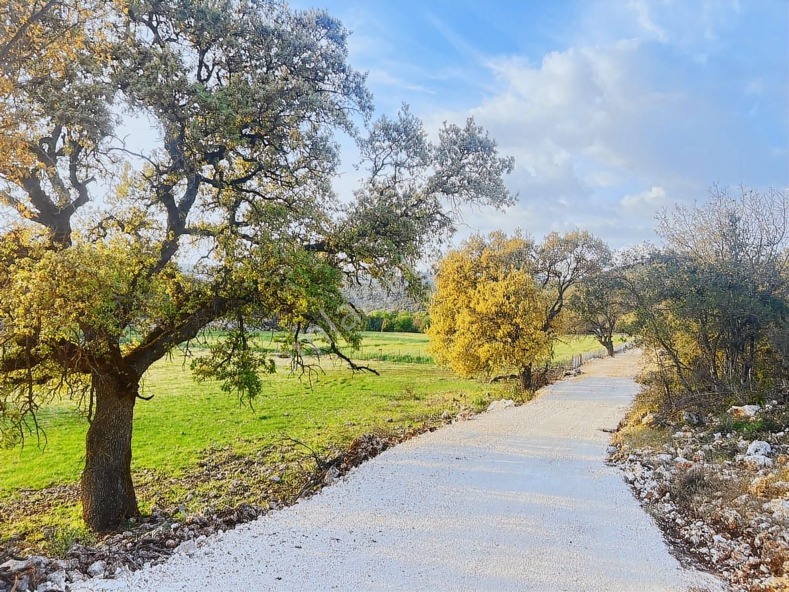 Kaş Çerler Mah. 5.100 M2 Müstakil Parsel - Görsel 25