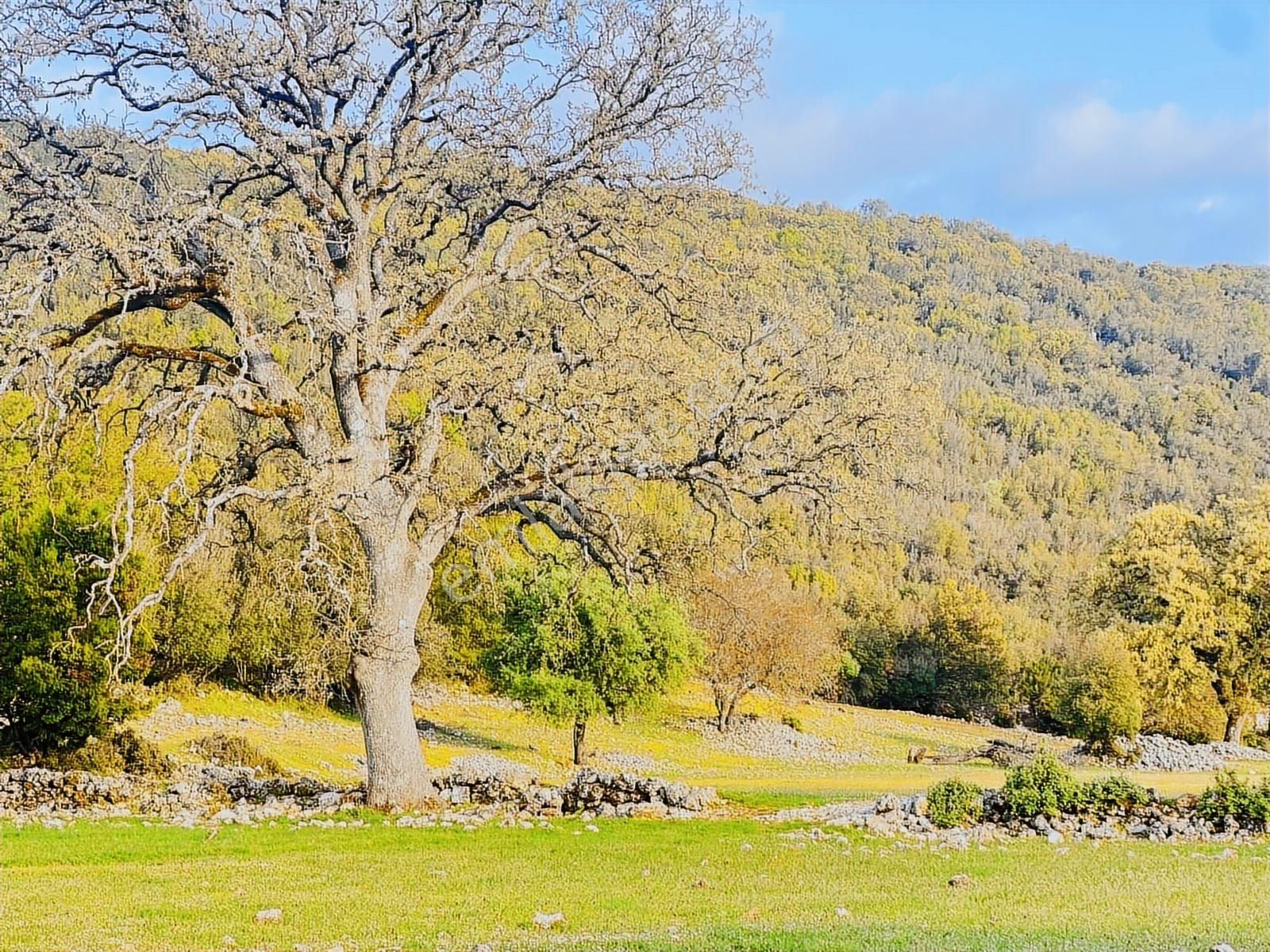 Kaş Çerler Mah. 5.100 M2 Müstakil Parsel - Görsel 11
