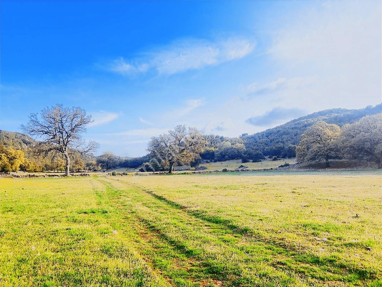 Kaş Çerler Mah. 5.100 M2 Müstakil Parsel - Görsel 17