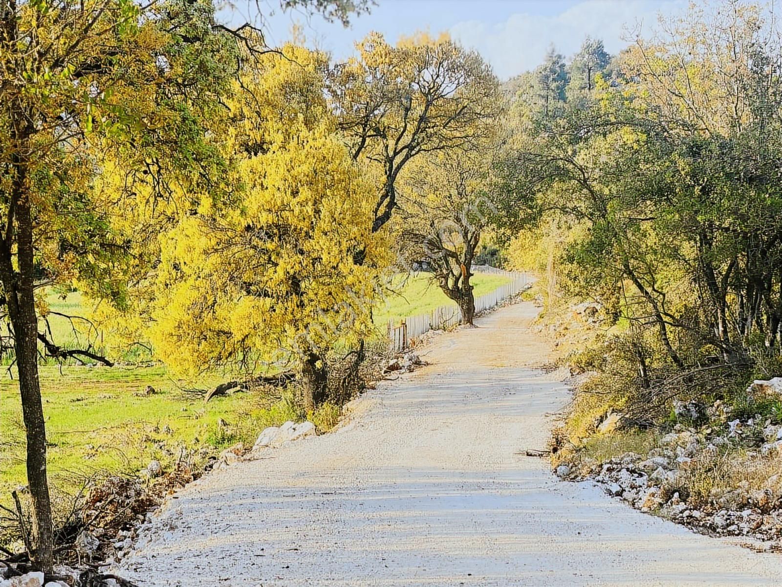 Kaş Çerler Mah. 5.100 M2 Müstakil Parsel - Görsel 9