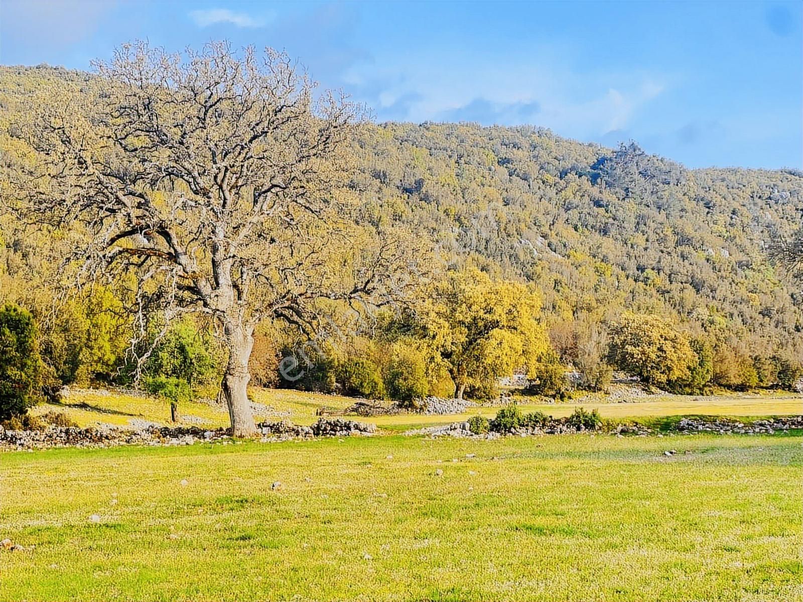 Kaş Çerler Mah. 5.100 M2 Müstakil Parsel - Görsel 22