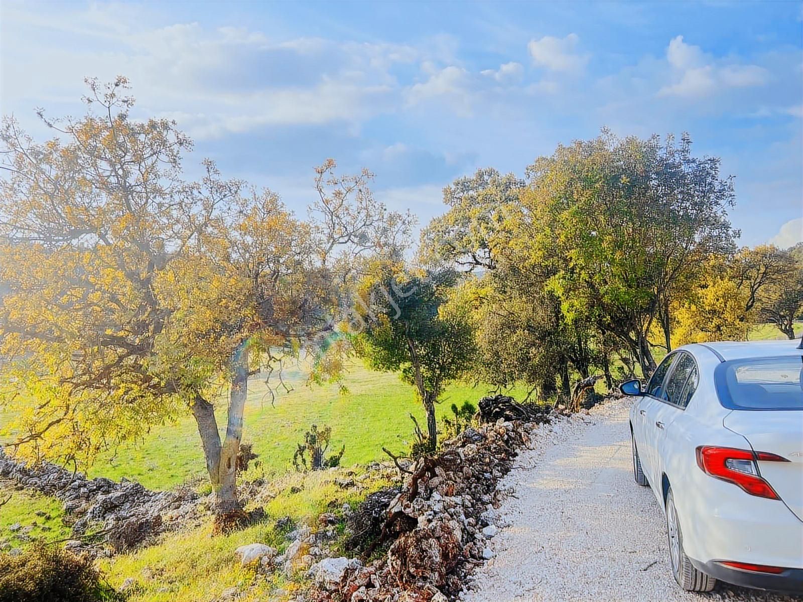 Kaş Çerler Mah. 5.100 M2 Müstakil Parsel - Görsel 18