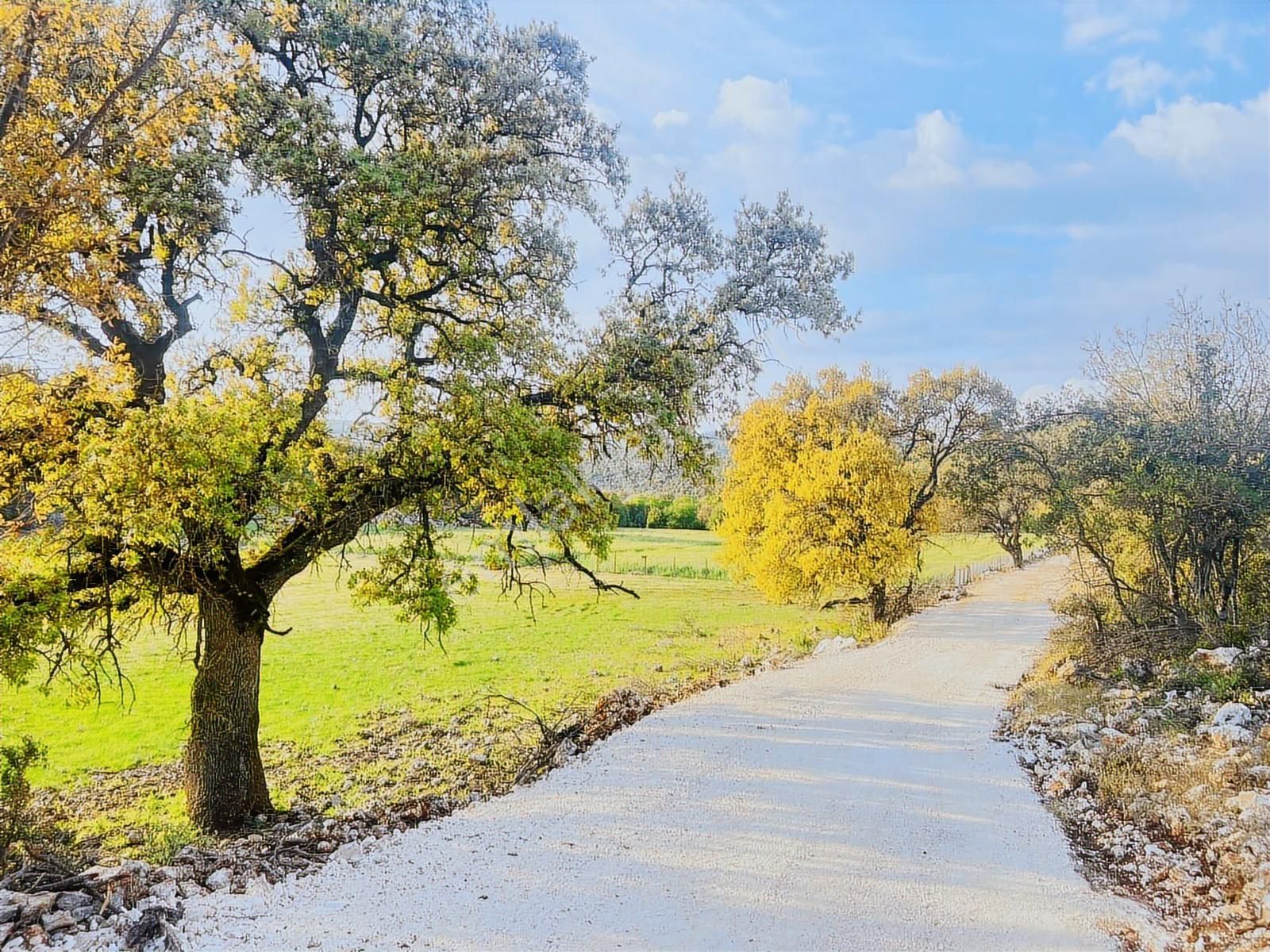 Kaş Çerler Mah. 5.100 M2 Müstakil Parsel