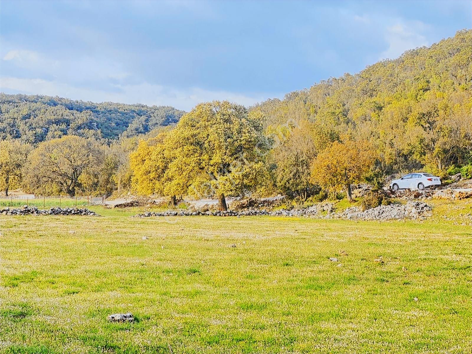 Kaş Çerler Mah. 5.100 M2 Müstakil Parsel - Görsel 8