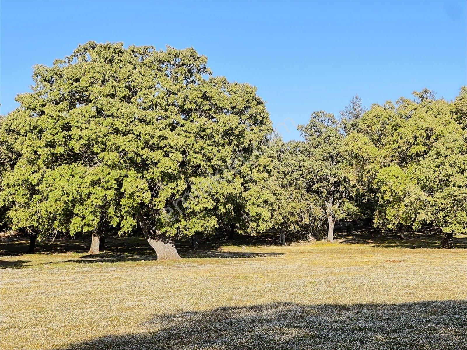 Kaş Mega İnş.emlak Tan Gökçeyazı Da 600 M2 İçinde Kaba İnşaat - Görsel 4