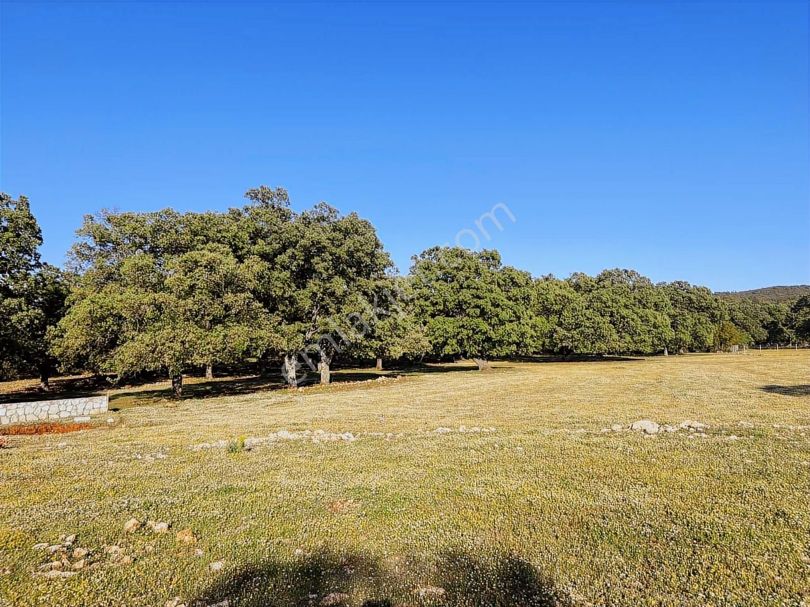 Kaş Mega İnş.emlak Tan Gökçeyazı Da 600 M2 İçinde Kaba İnşaat - Görsel 3