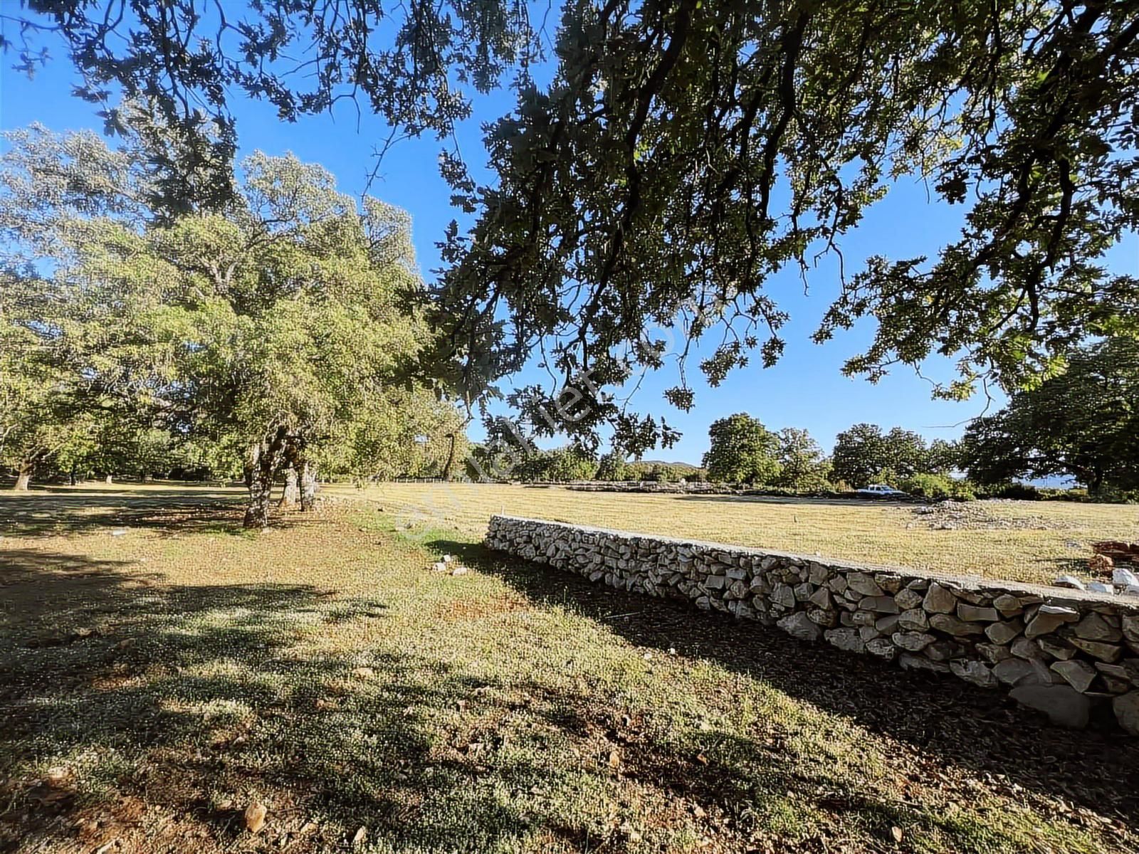 Kaş Mega İnş.emlak Tan Gökçeyazı Da 600 M2 İçinde Kaba İnşaat - Görsel 7