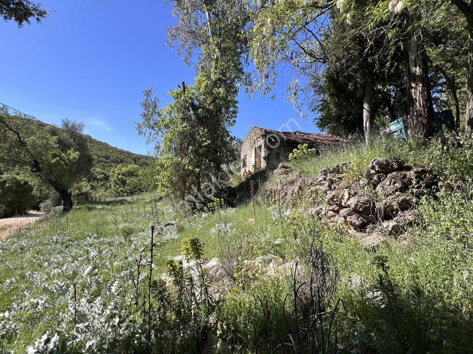 Kaş Gökçeyazı Da Müstakil Ev Ve 1.600 M2 Bahçesi - Görsel 25