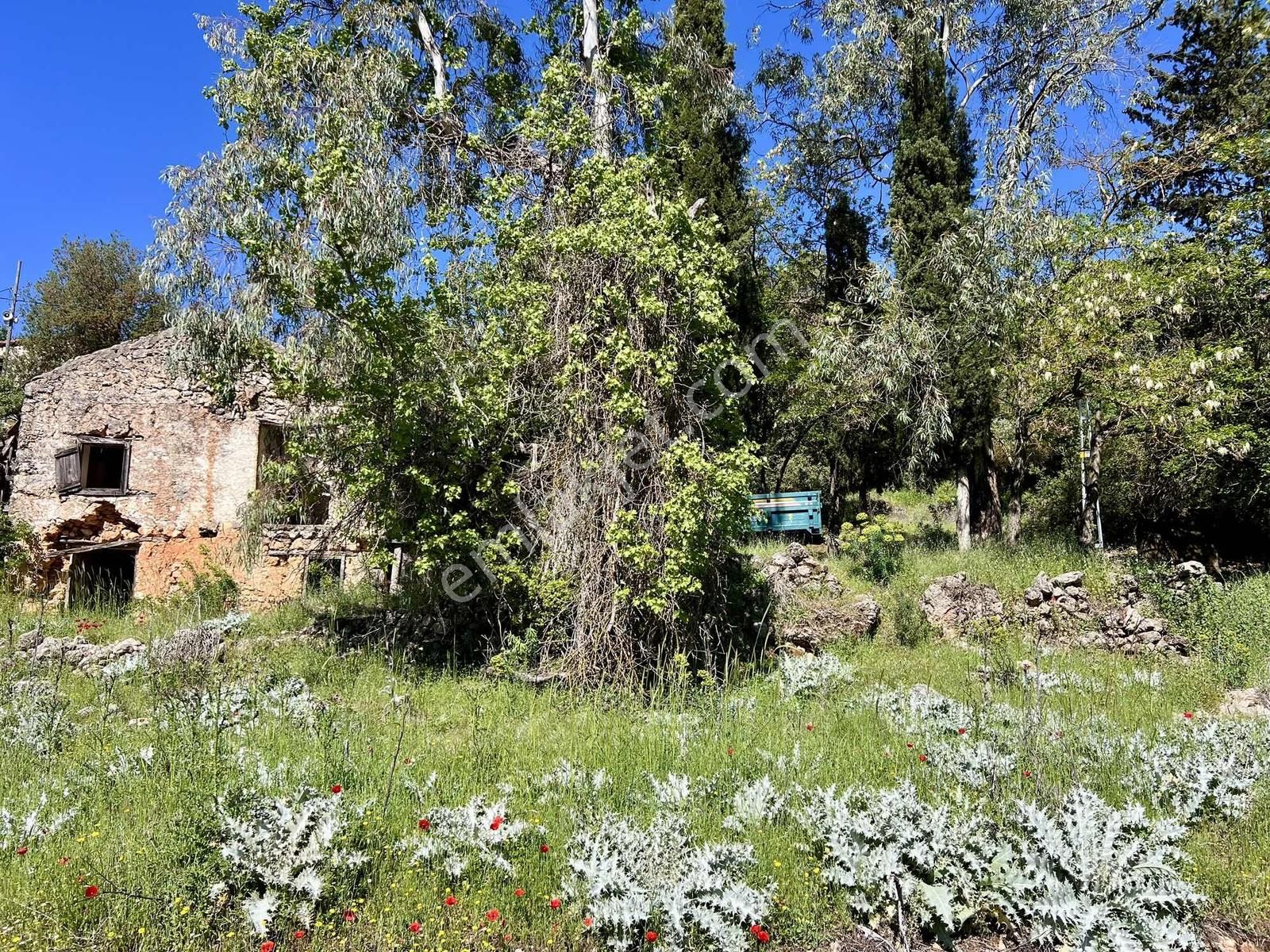 Kaş Gökçeyazı Da Müstakil Ev Ve 1.600 M2 Bahçesi - Görsel 17