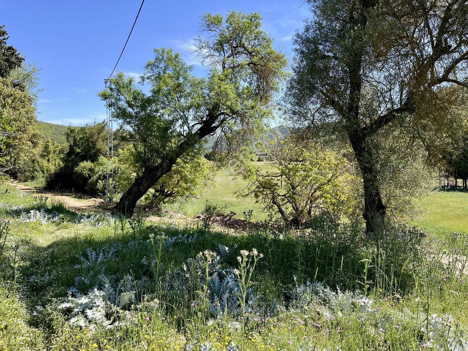 Kaş Gökçeyazı Da Müstakil Ev Ve 1.600 M2 Bahçesi - Görsel 5