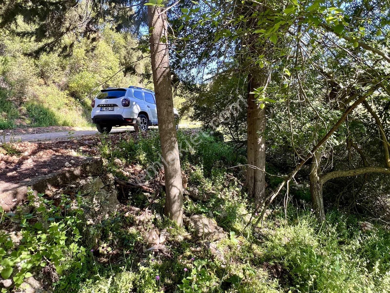 Kaş Gökçeyazı Da Müstakil Ev Ve 1.600 M2 Bahçesi - Görsel 19