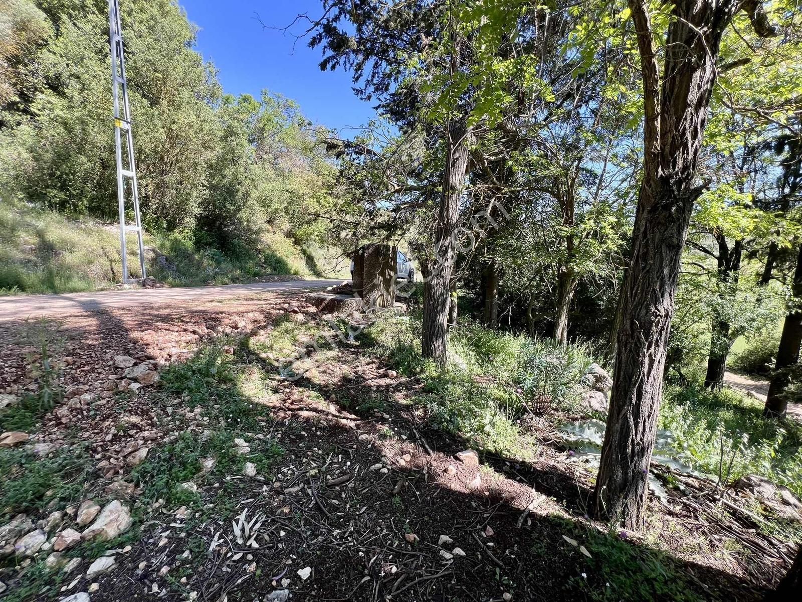 Kaş Gökçeyazı Da Müstakil Ev Ve 1.600 M2 Bahçesi - Görsel 29