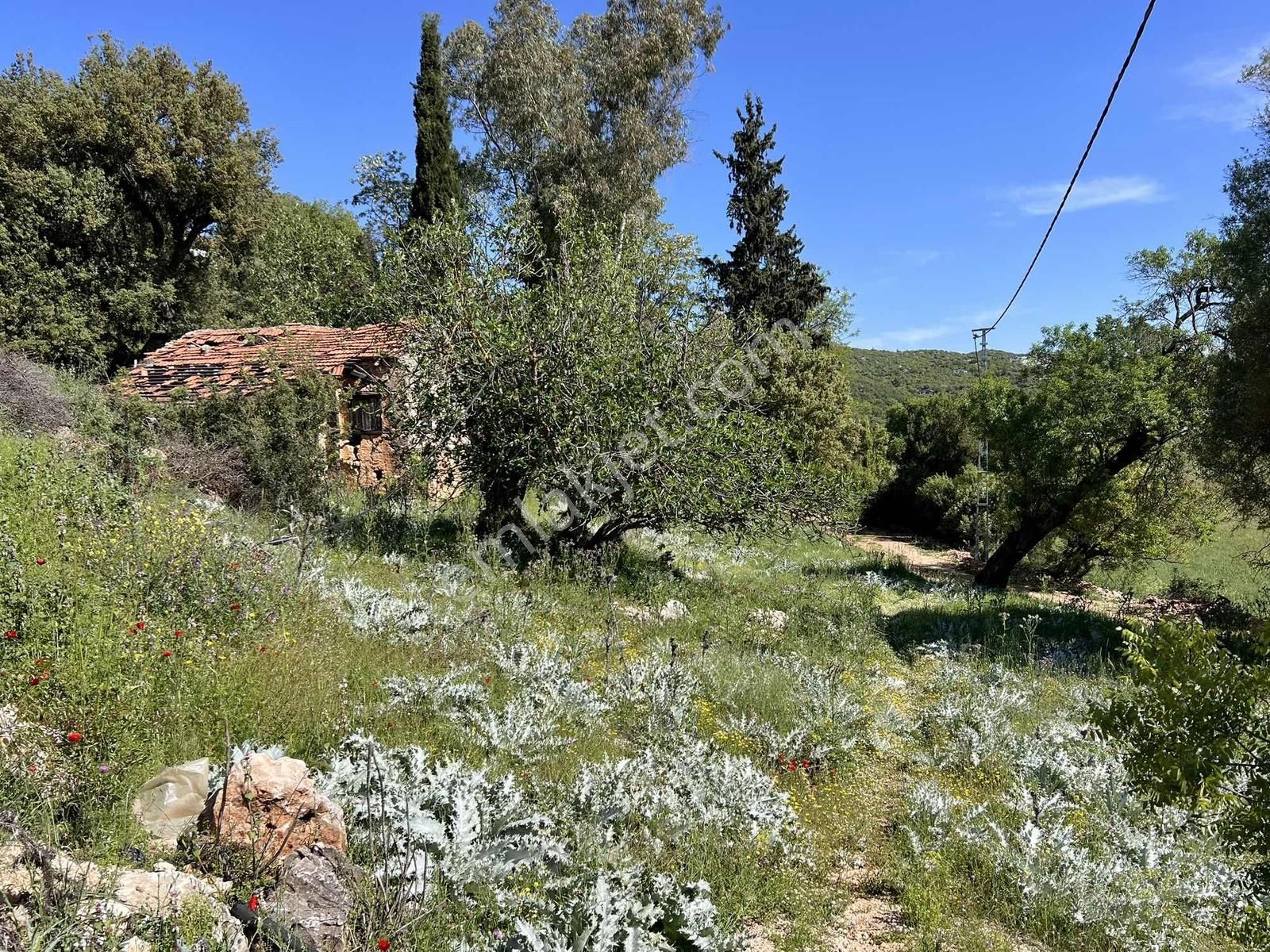 Kaş Gökçeyazı Da Müstakil Ev Ve 1.600 M2 Bahçesi - Görsel 15