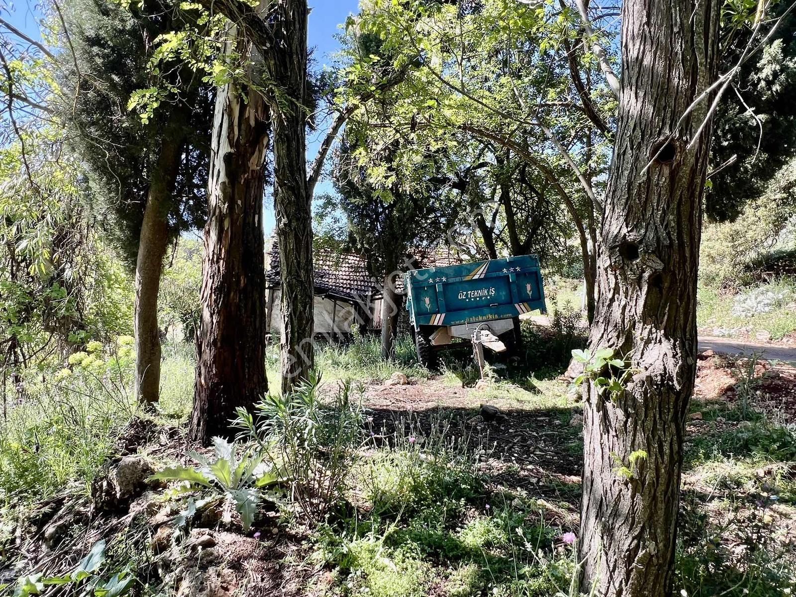 Kaş Gökçeyazı Da Müstakil Ev Ve 1.600 M2 Bahçesi - Görsel 13