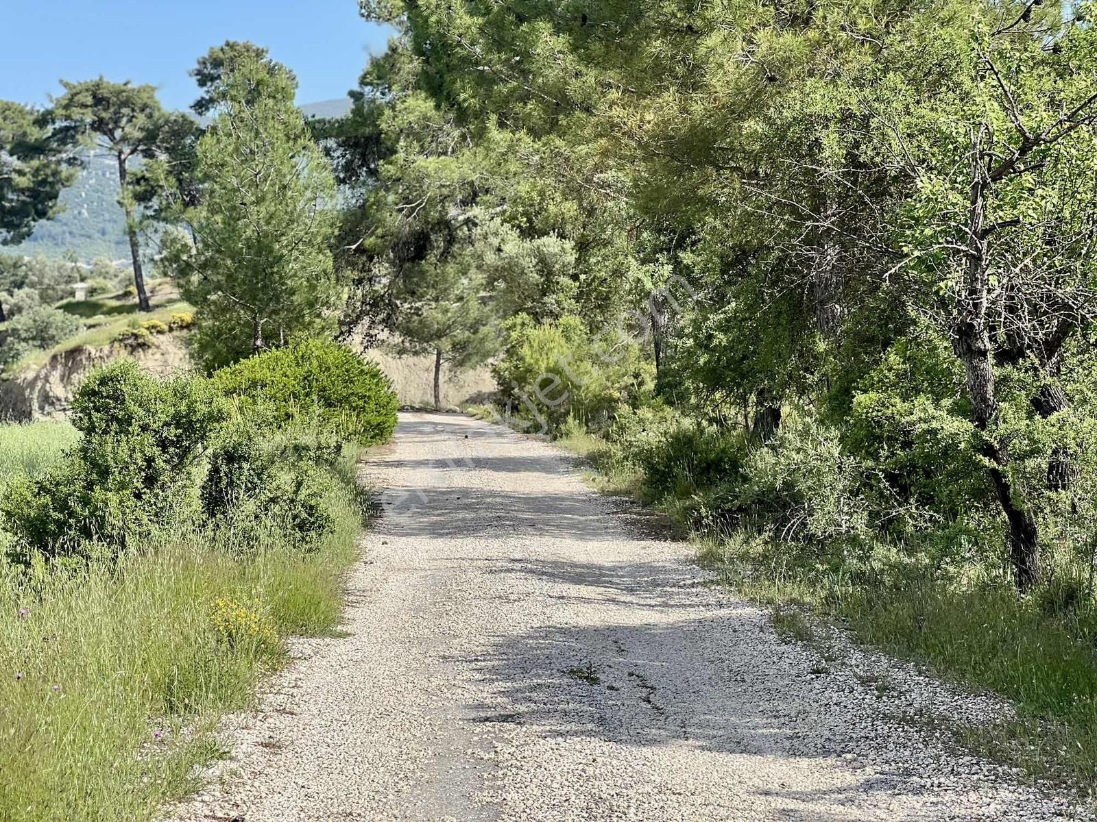 Kaş Uğrar Merkezde 4.000 M2 Müstakil Tapu - Görsel 5