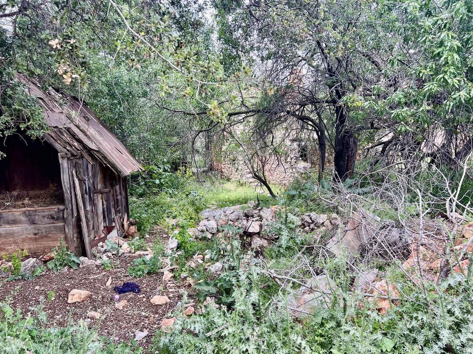 Kaş S.kılınçlı ( Kekova Bölgesi ) 2 Katlı Taş Ev Ve 660 M2 Bahçe - Görsel 5