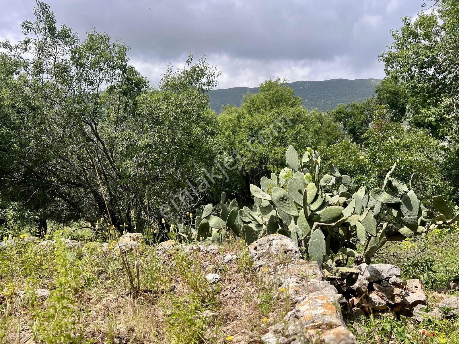 Kaş S.kılınçlı ( Kekova Bölgesi ) 2 Katlı Taş Ev Ve 660 M2 Bahçe - Görsel 21