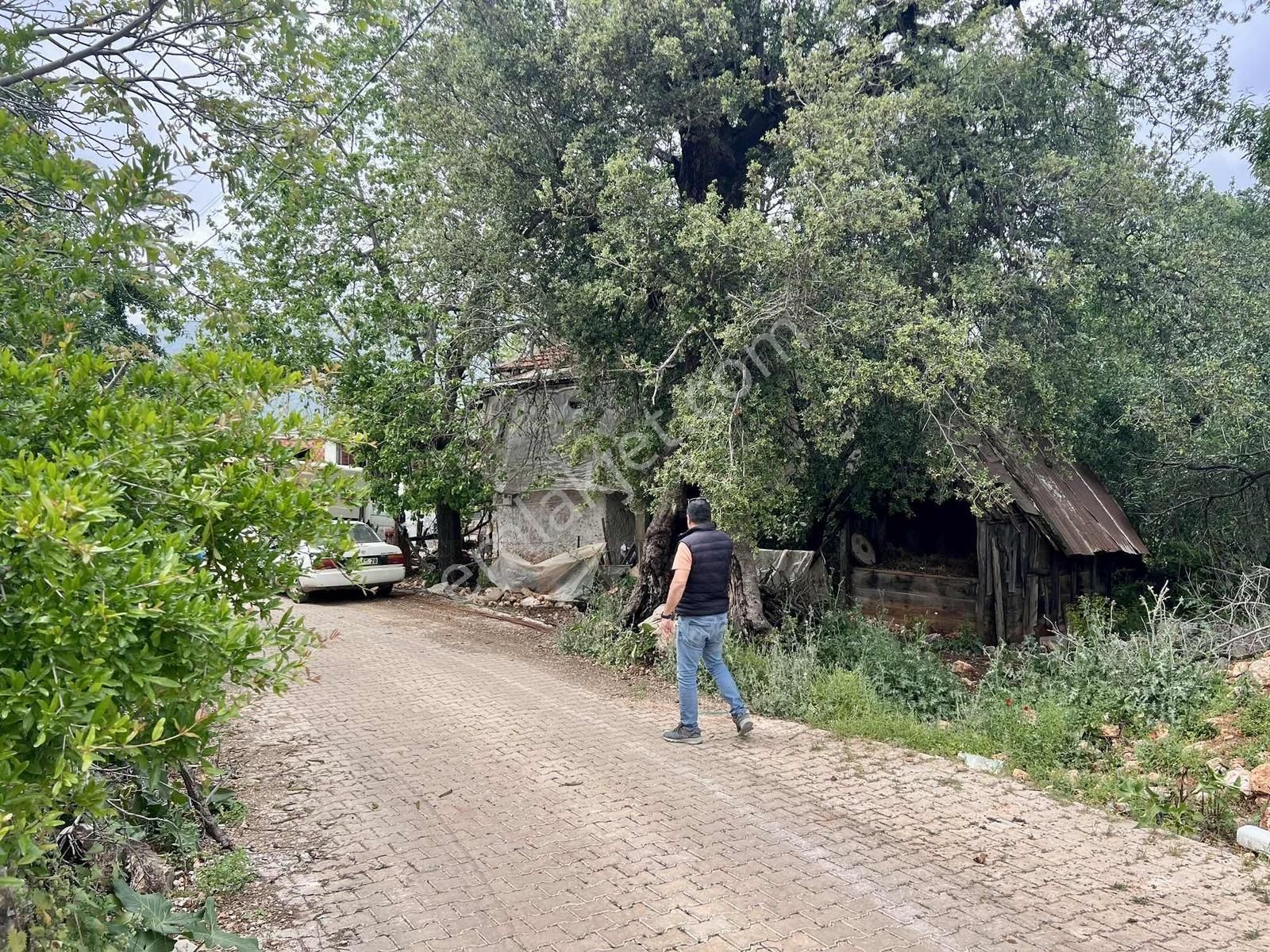 Kaş S.kılınçlı ( Kekova Bölgesi ) 2 Katlı Taş Ev Ve 660 M2 Bahçe - Görsel 29