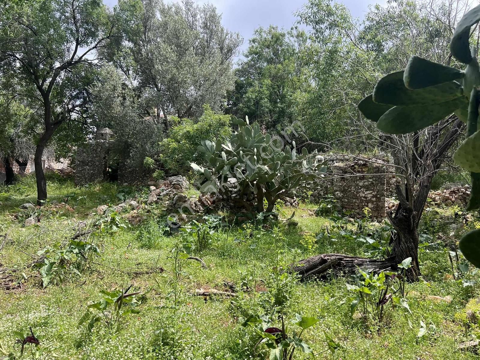 Kaş S.kılınçlı ( Kekova Bölgesi ) 2 Katlı Taş Ev Ve 660 M2 Bahçe - Görsel 2