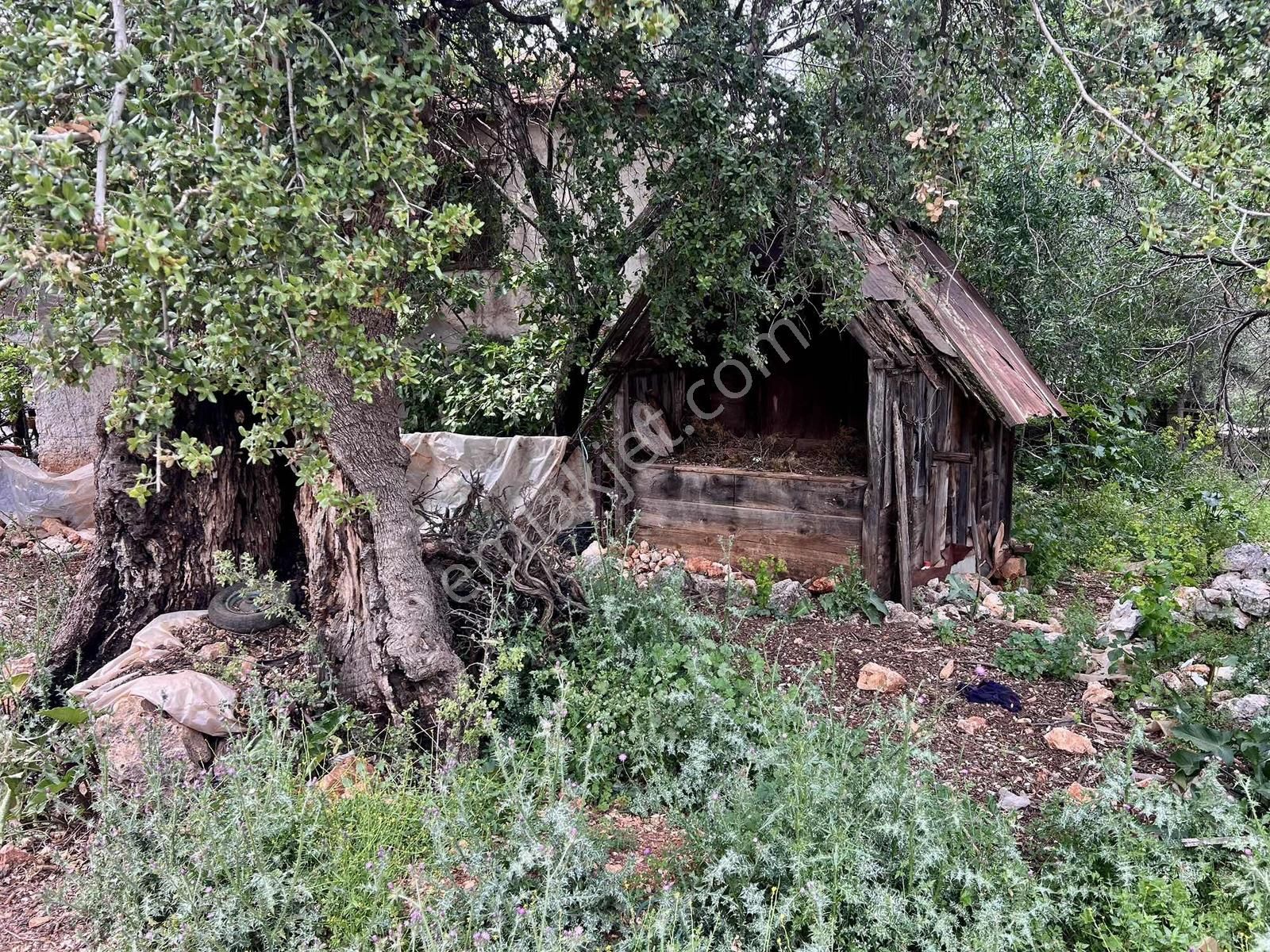 Kaş S.kılınçlı ( Kekova Bölgesi ) 2 Katlı Taş Ev Ve 660 M2 Bahçe - Görsel 3