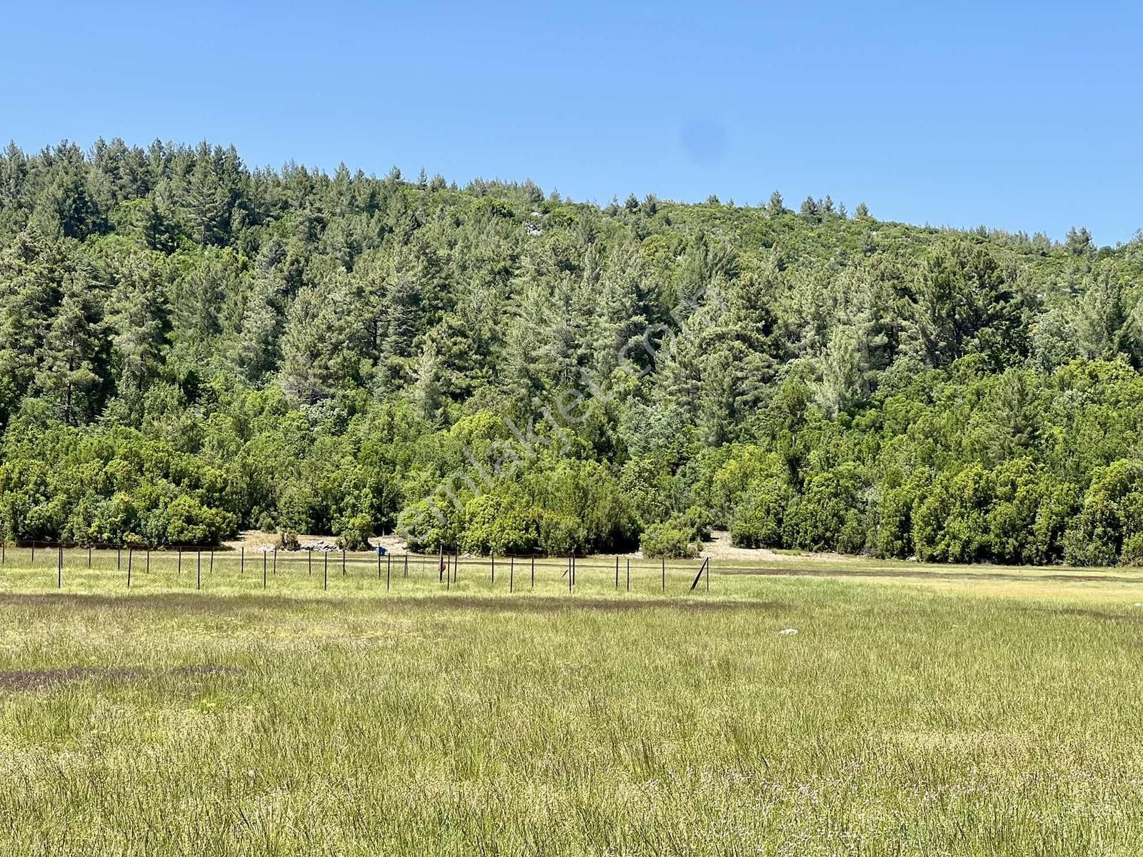 Kaş Sinneli 9.000 M2 Müstakil Tapu !! Bölgenin En Uygunu - Görsel 12