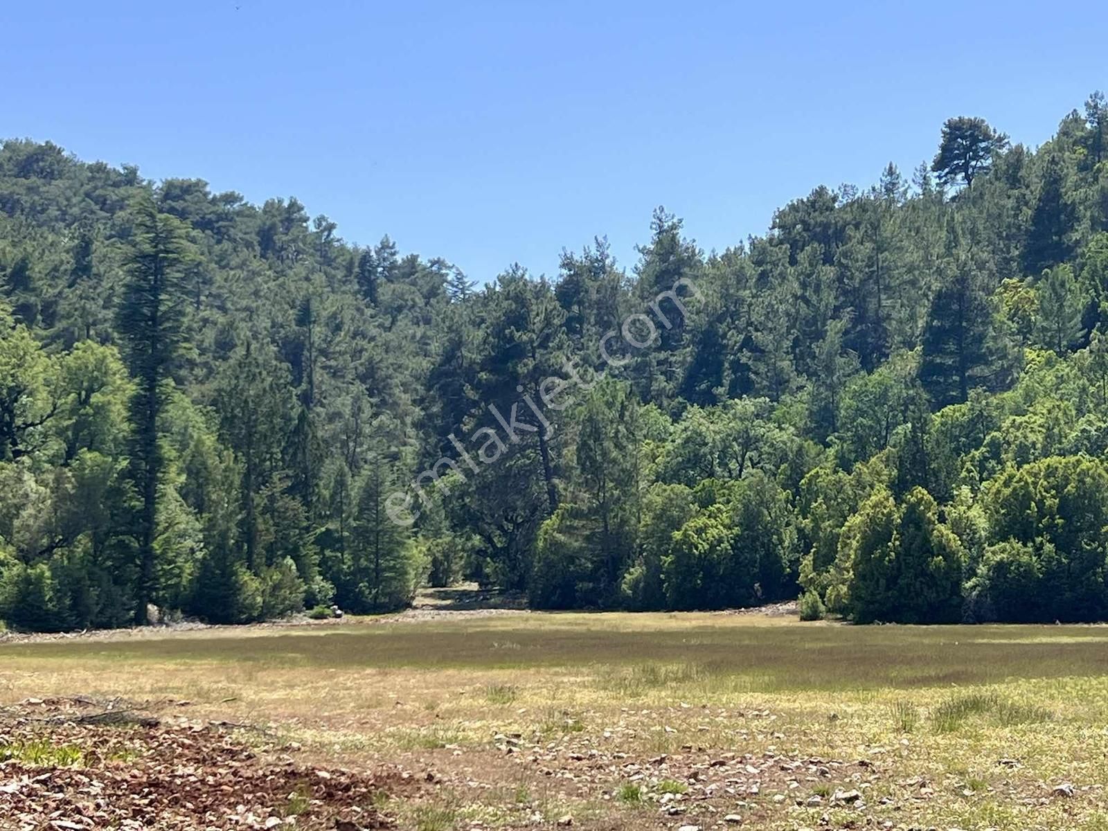 Kaş Sinneli 9.000 M2 Müstakil Tapu !! Bölgenin En Uygunu - Görsel 21
