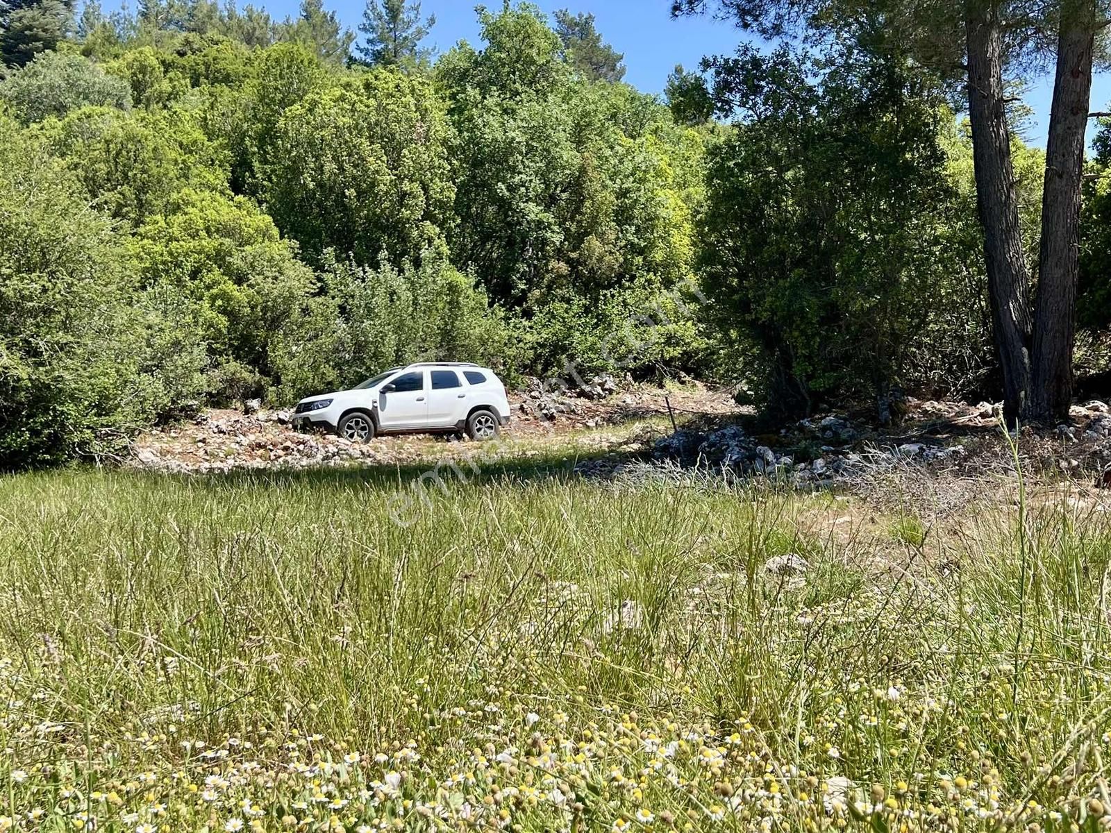 Kaş Sinneli 9.000 M2 Müstakil Tapu !! Bölgenin En Uygunu - Görsel 14