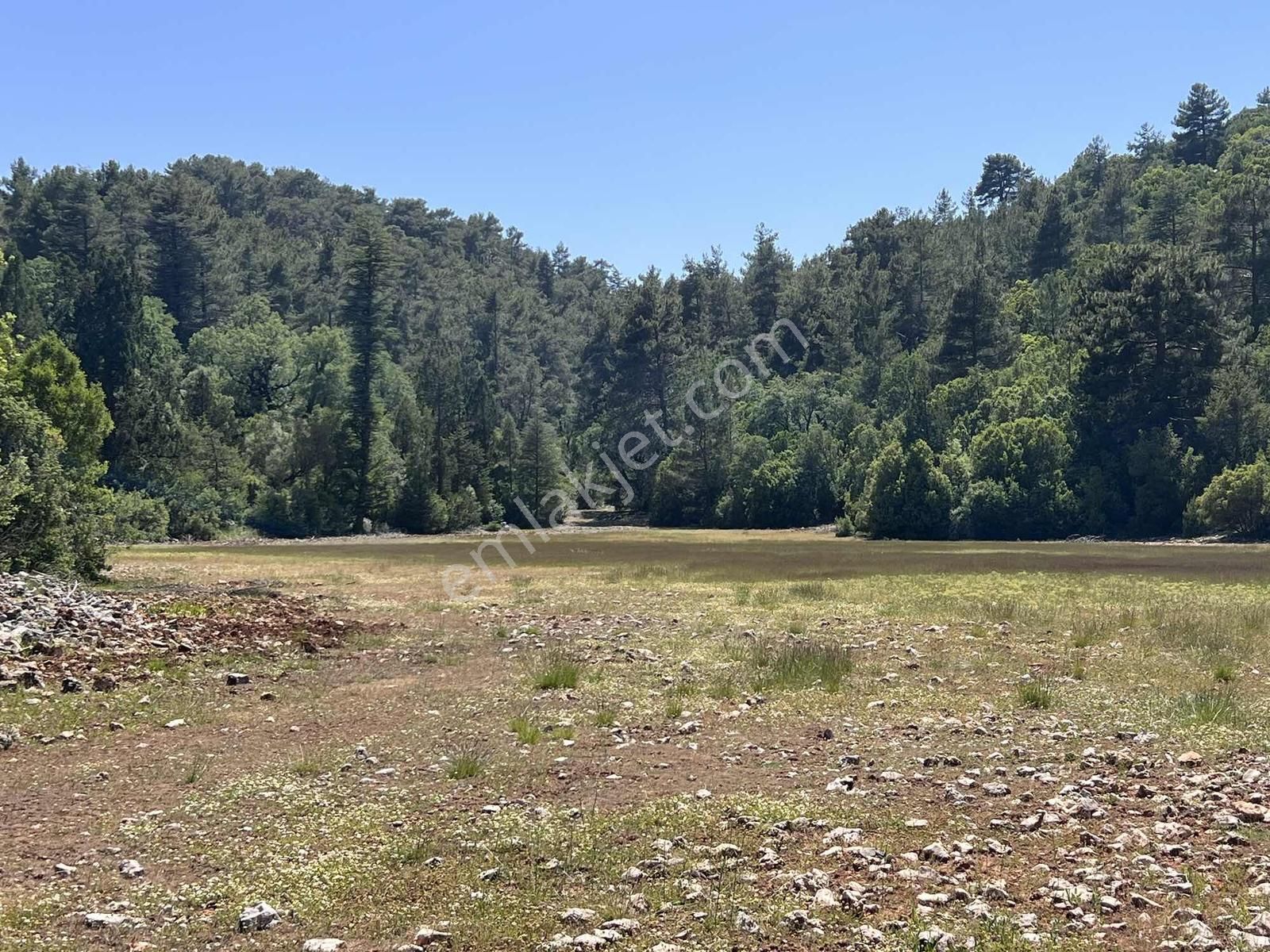 Kaş Sinneli 9.000 M2 Müstakil Tapu !! Bölgenin En Uygunu - Görsel 5