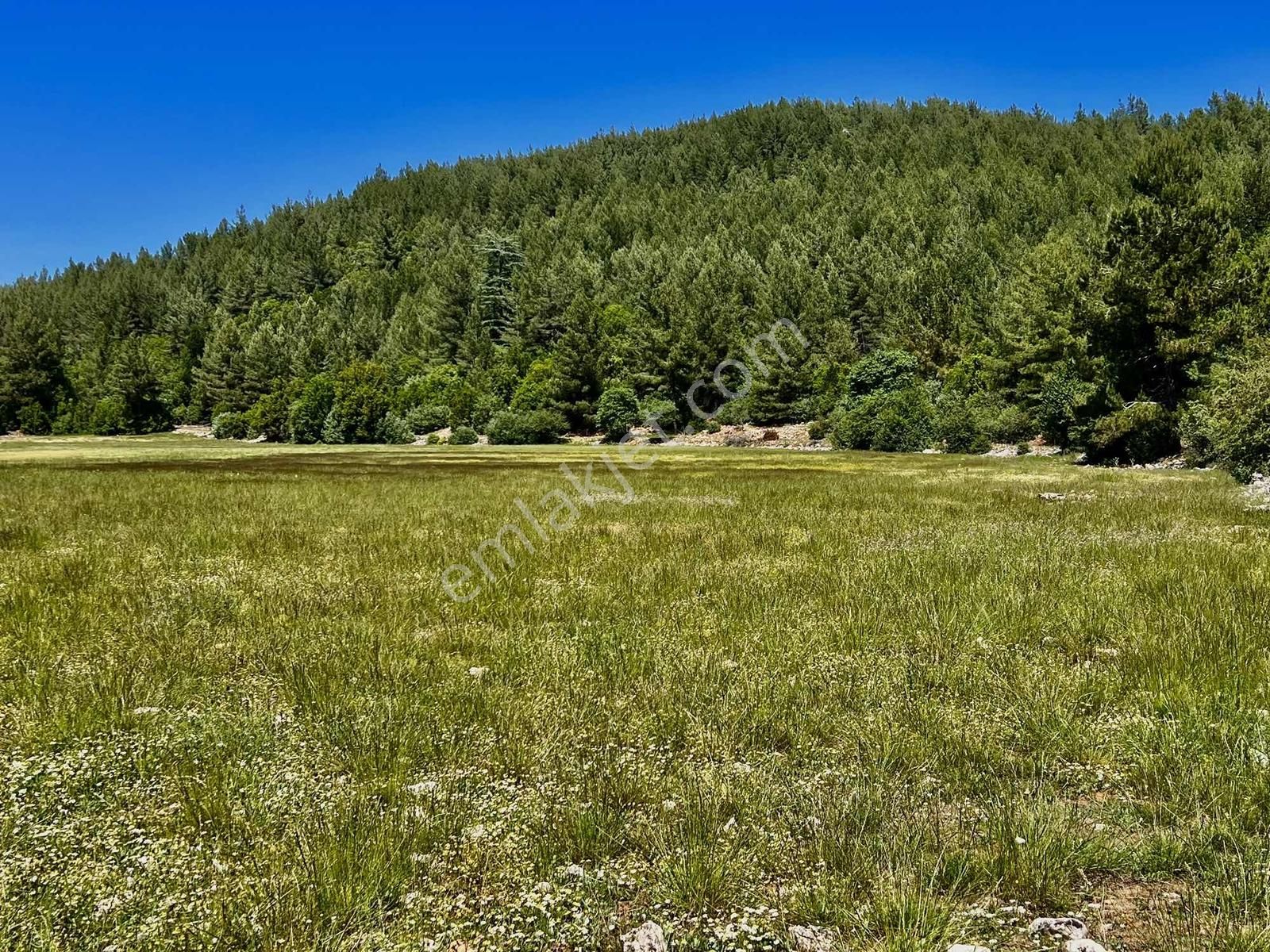 Kaş Sinneli 9.000 M2 Müstakil Tapu !! Bölgenin En Uygunu - Görsel 22