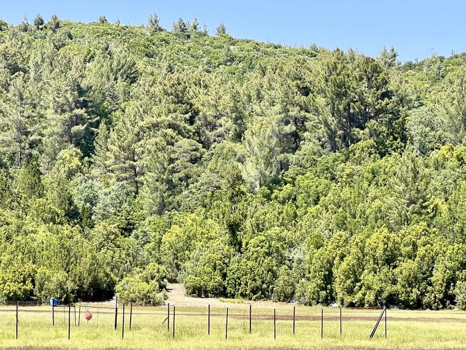 Kaş Sinneli 9.000 M2 Müstakil Tapu !! Bölgenin En Uygunu
