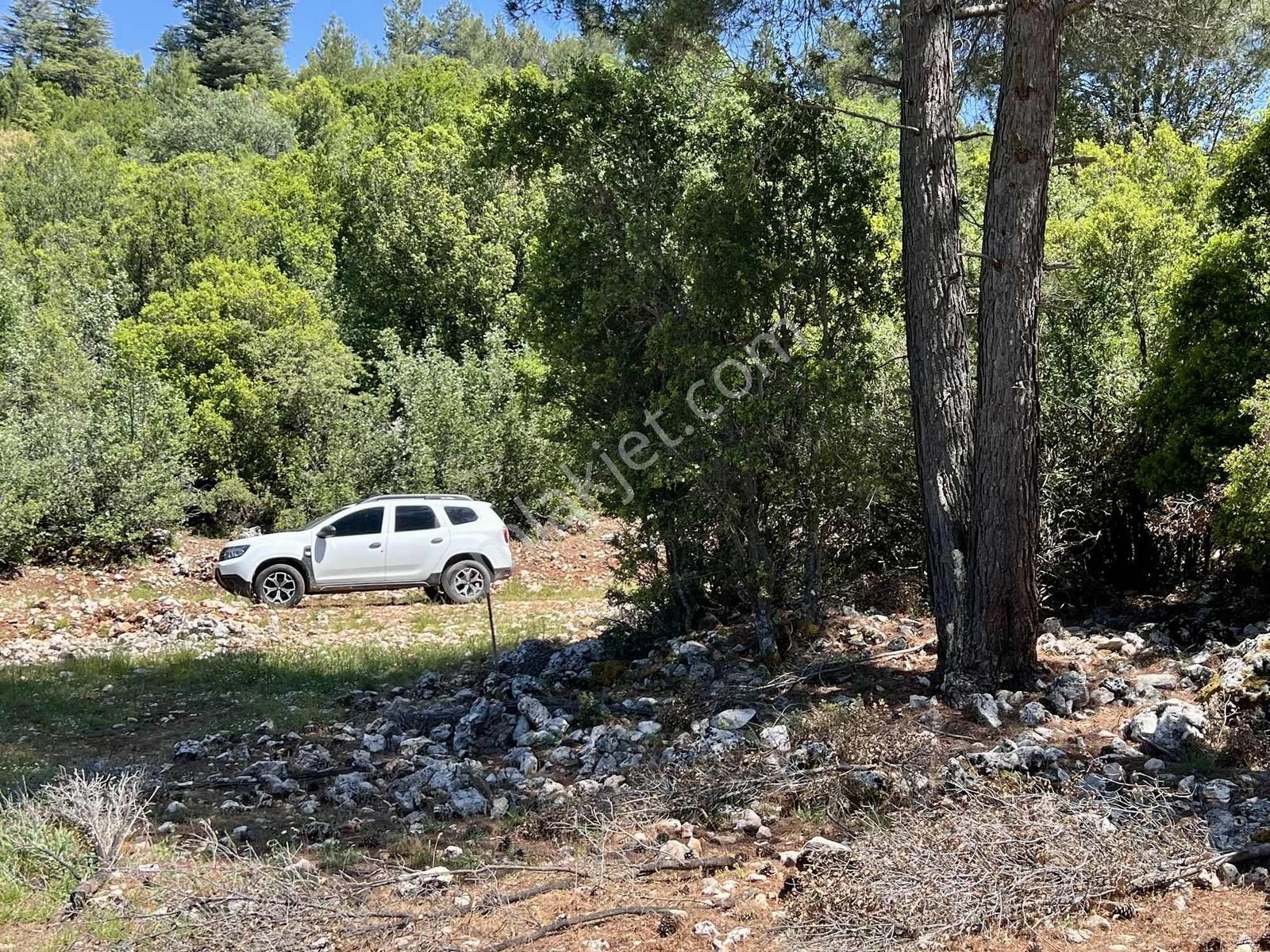Kaş Sinneli 9.000 M2 Müstakil Tapu !! Bölgenin En Uygunu - Görsel 16