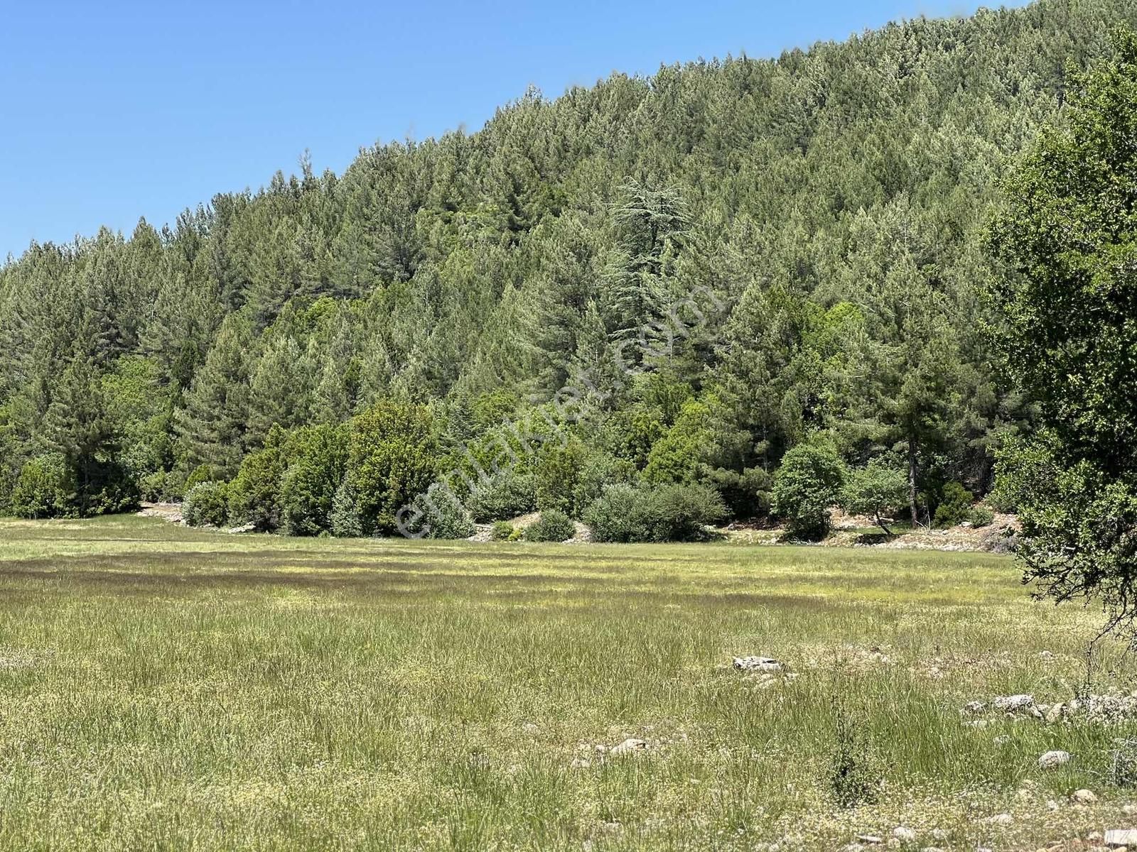 Kaş Sinneli 9.000 M2 Müstakil Tapu !! Bölgenin En Uygunu - Görsel 6