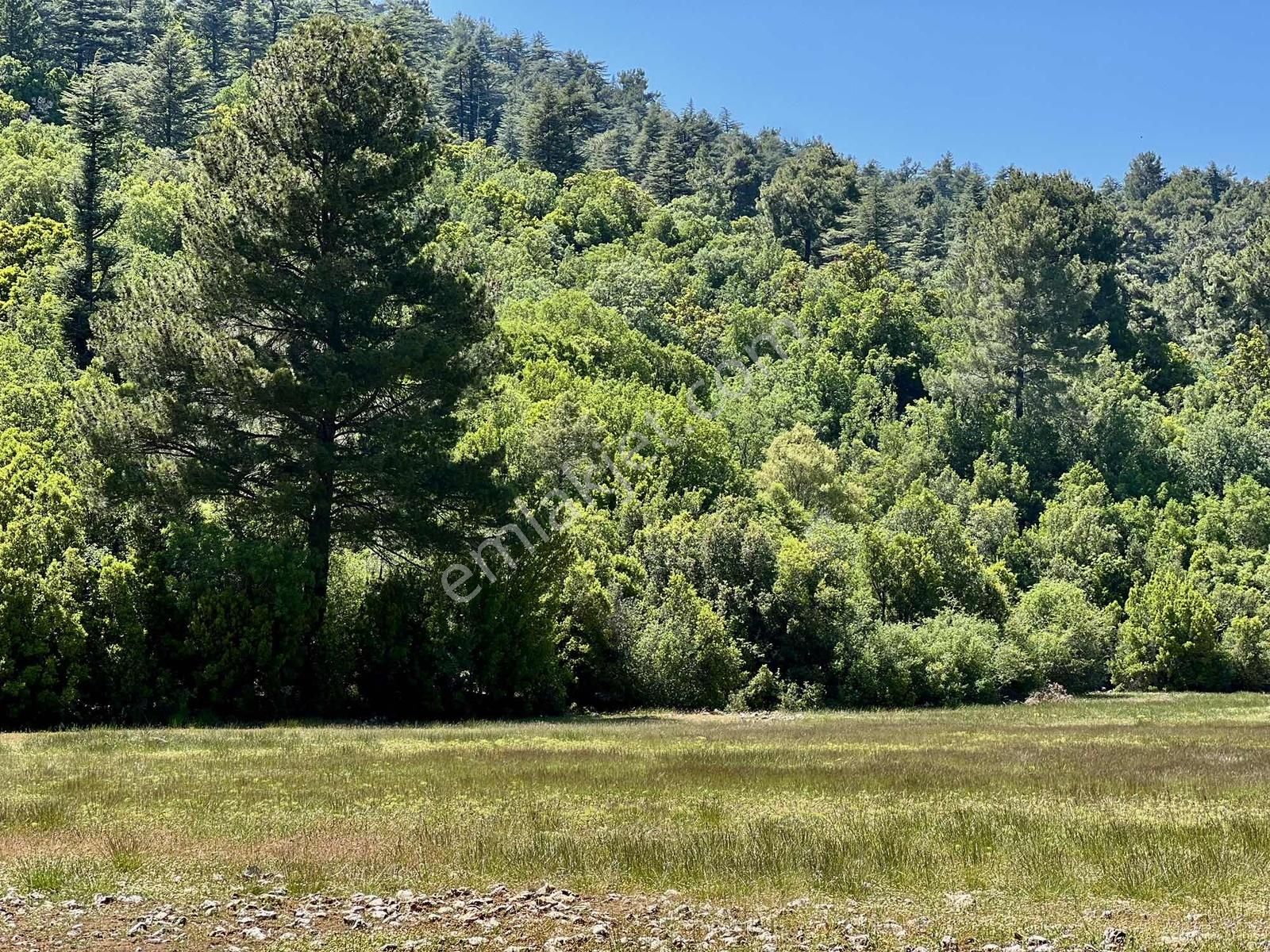 Kaş Sinneli 9.000 M2 Müstakil Tapu !! Bölgenin En Uygunu - Görsel 18
